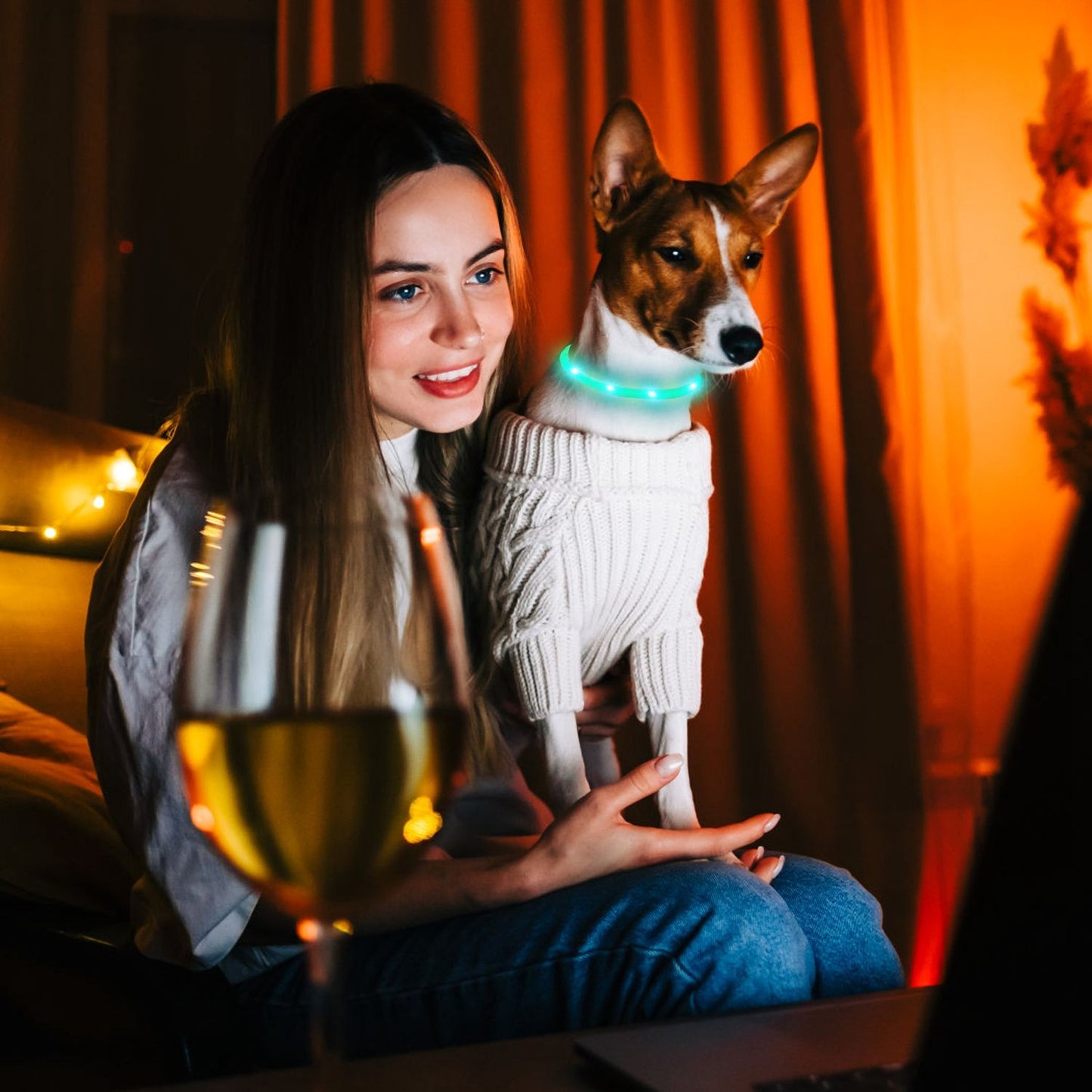 camping night scene with dog wearing illuminated collar and size table overlay for collar dimensions