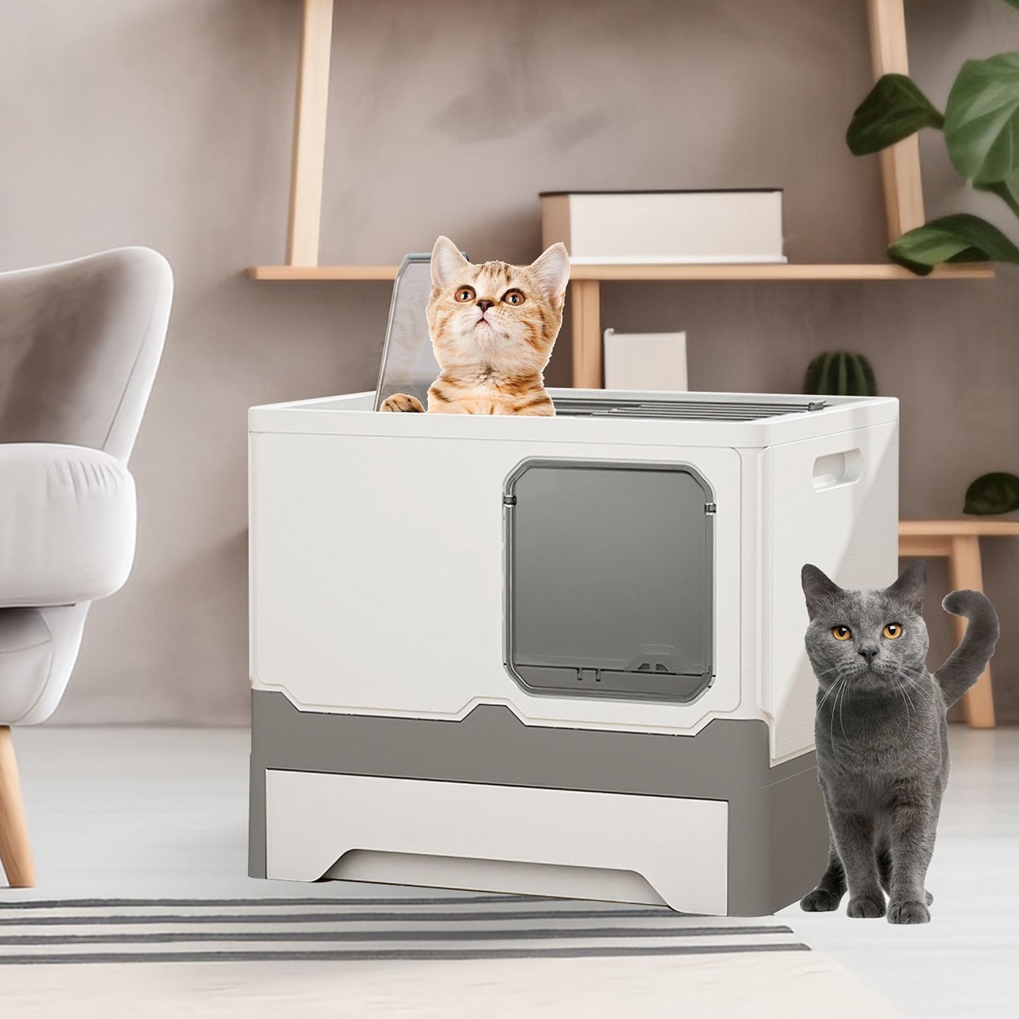 Litter box in a living room with top hatch open and a cat peeking out while another cat stands nearby