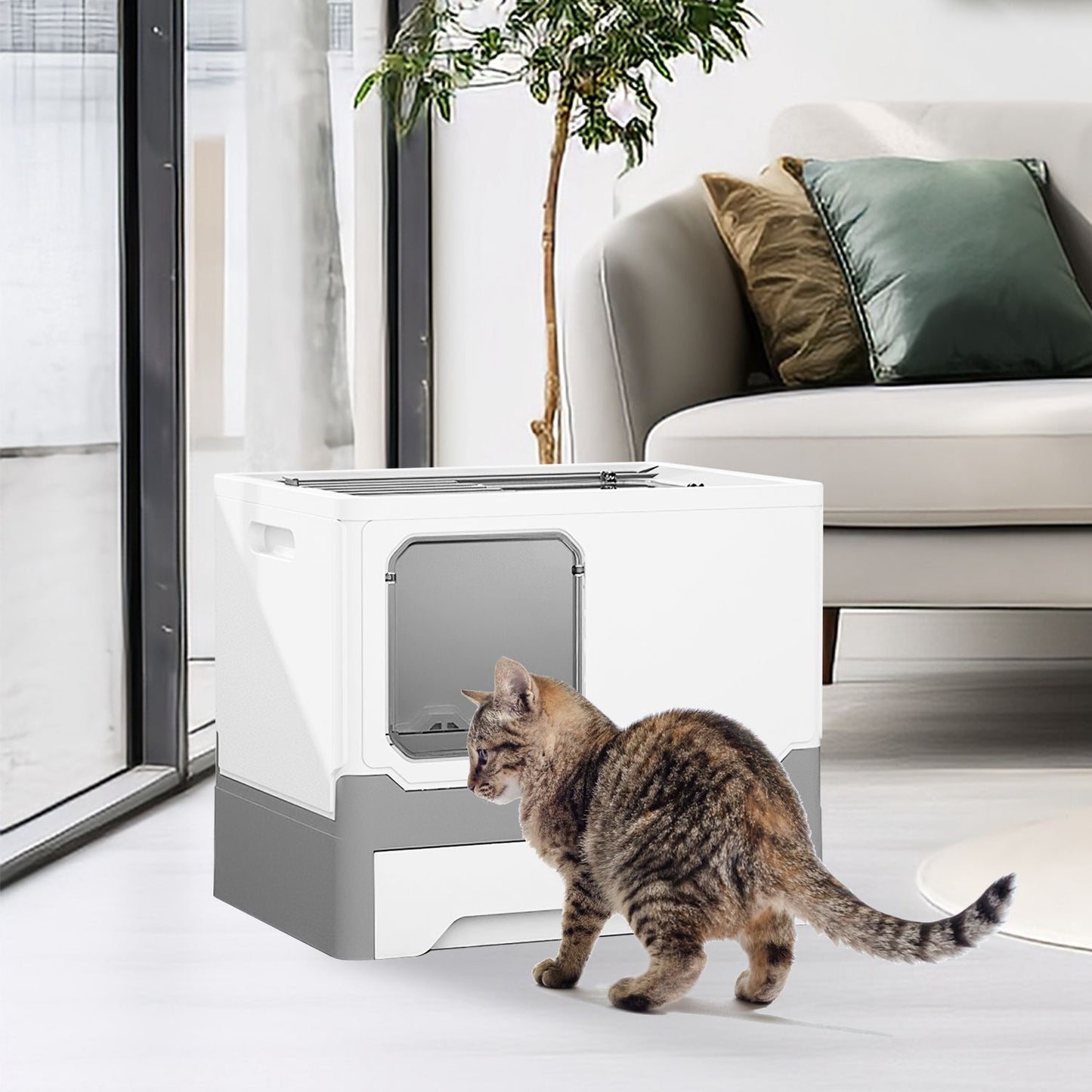 Cat walking toward enclosed litter box placed near a window in a bright living room