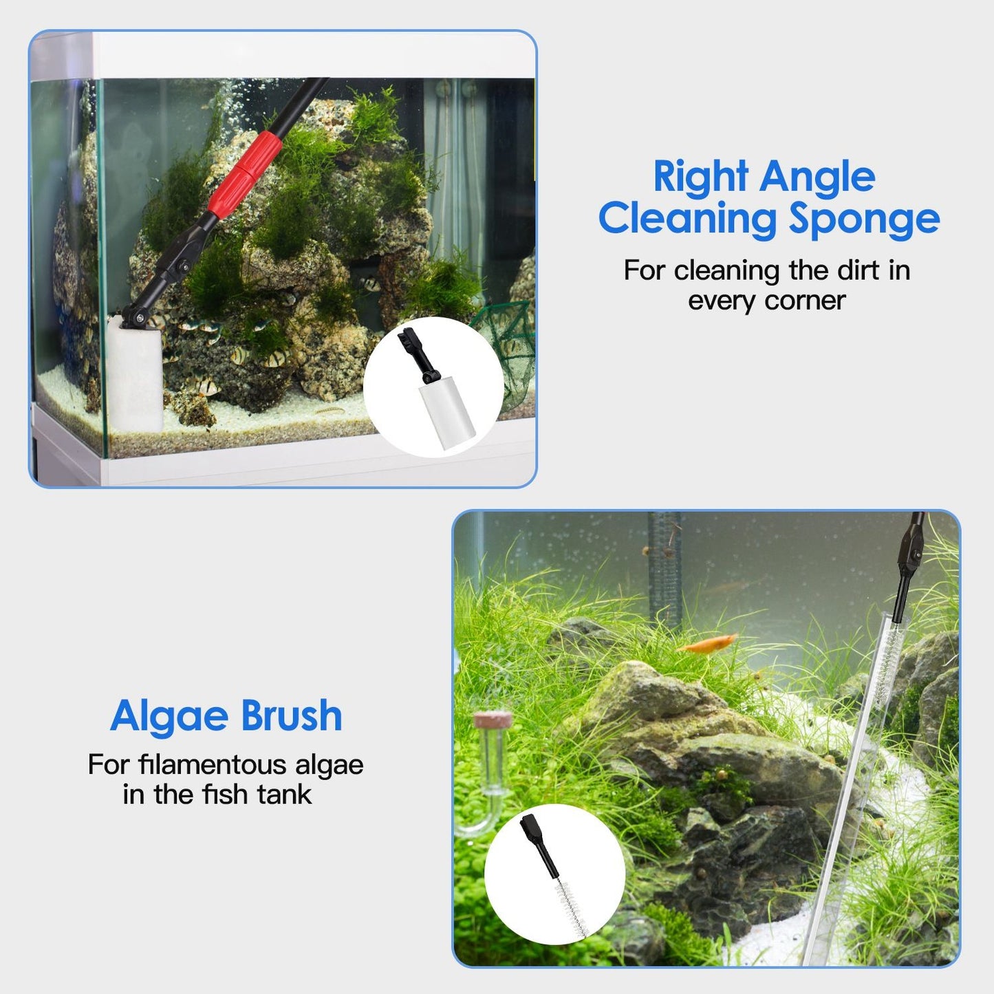 Right‑angle cleaning sponge and algae brush used to reach corners and remove filamentous algae