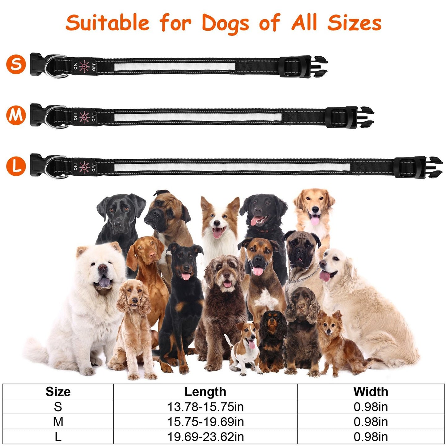 Night visibility comparison highlighting increased safety when dog wears illuminated collar