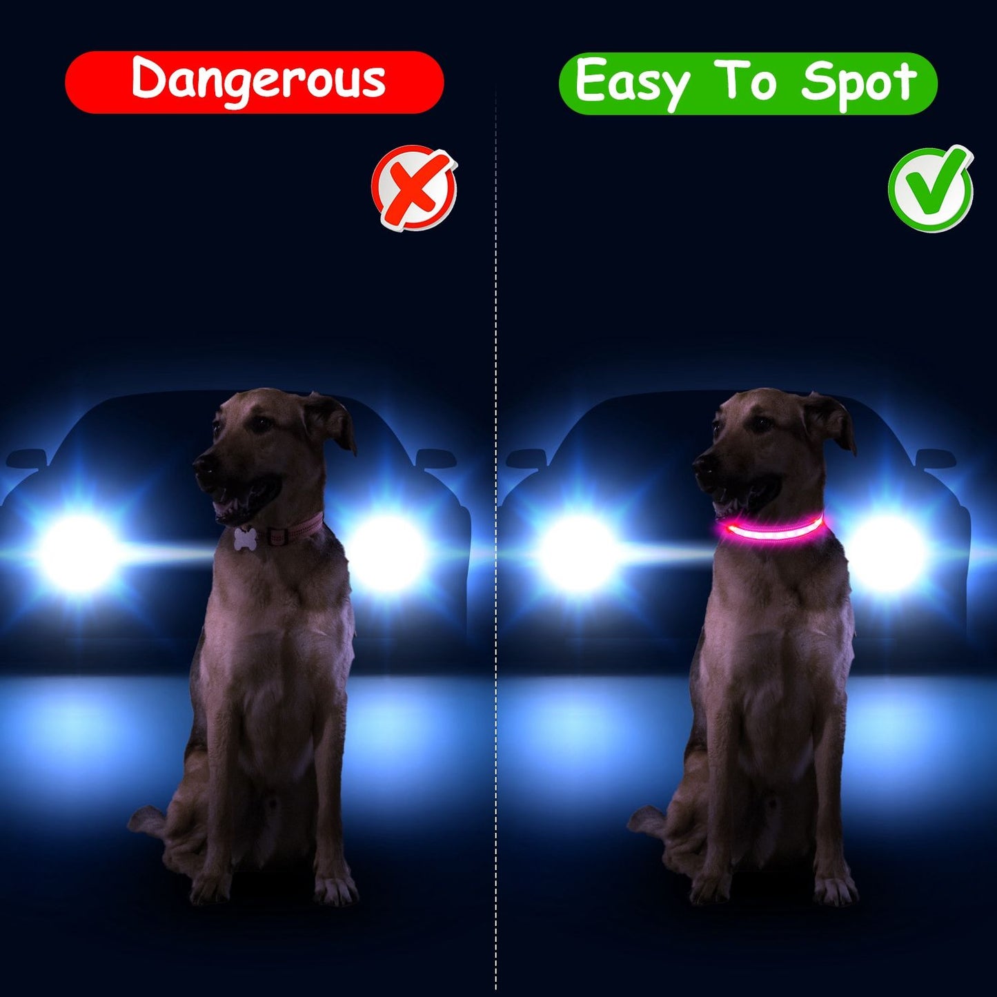 Night scene comparison showing dog without light and with illuminated LED collar for visibility
