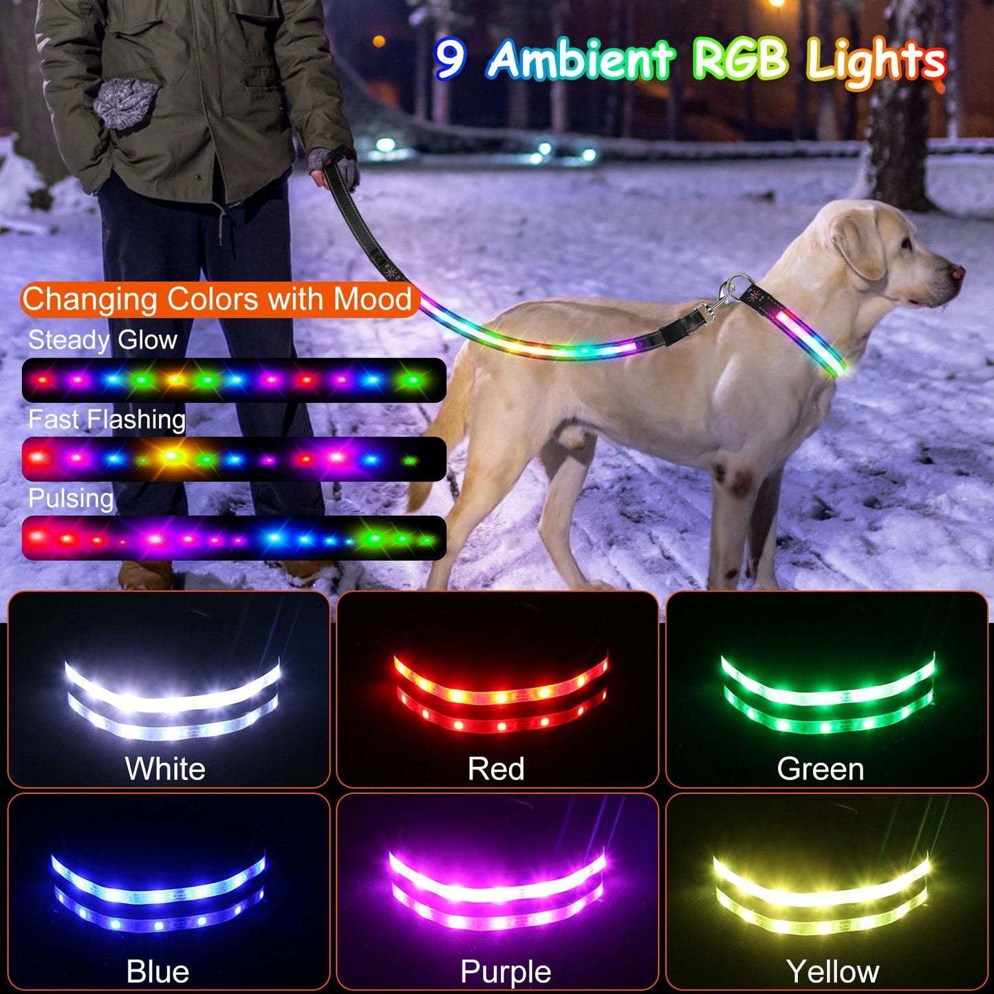 LED leash color options showing nine RGB colors and three lighting modes including steady and flashing