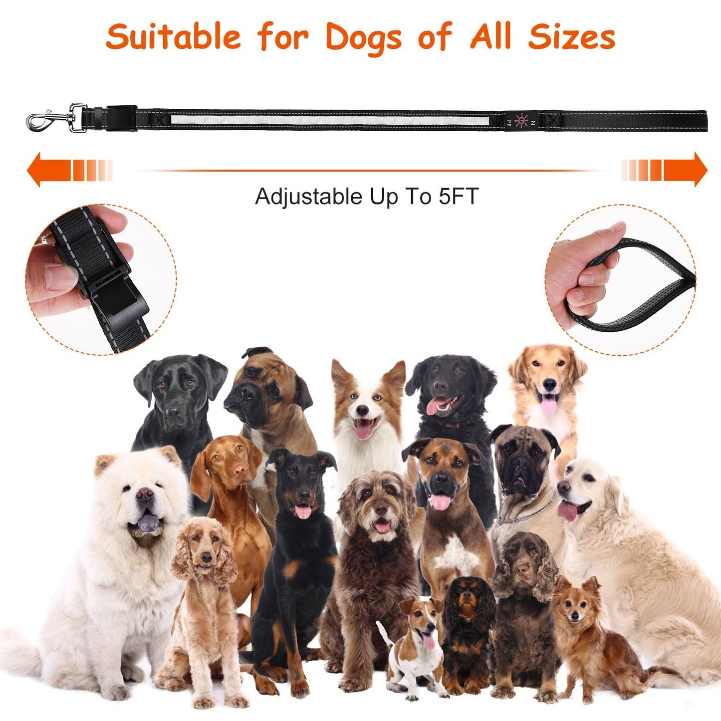 adjustable 5ft LED dog leash shown with multiple dog breeds and close-ups of buckle and handle