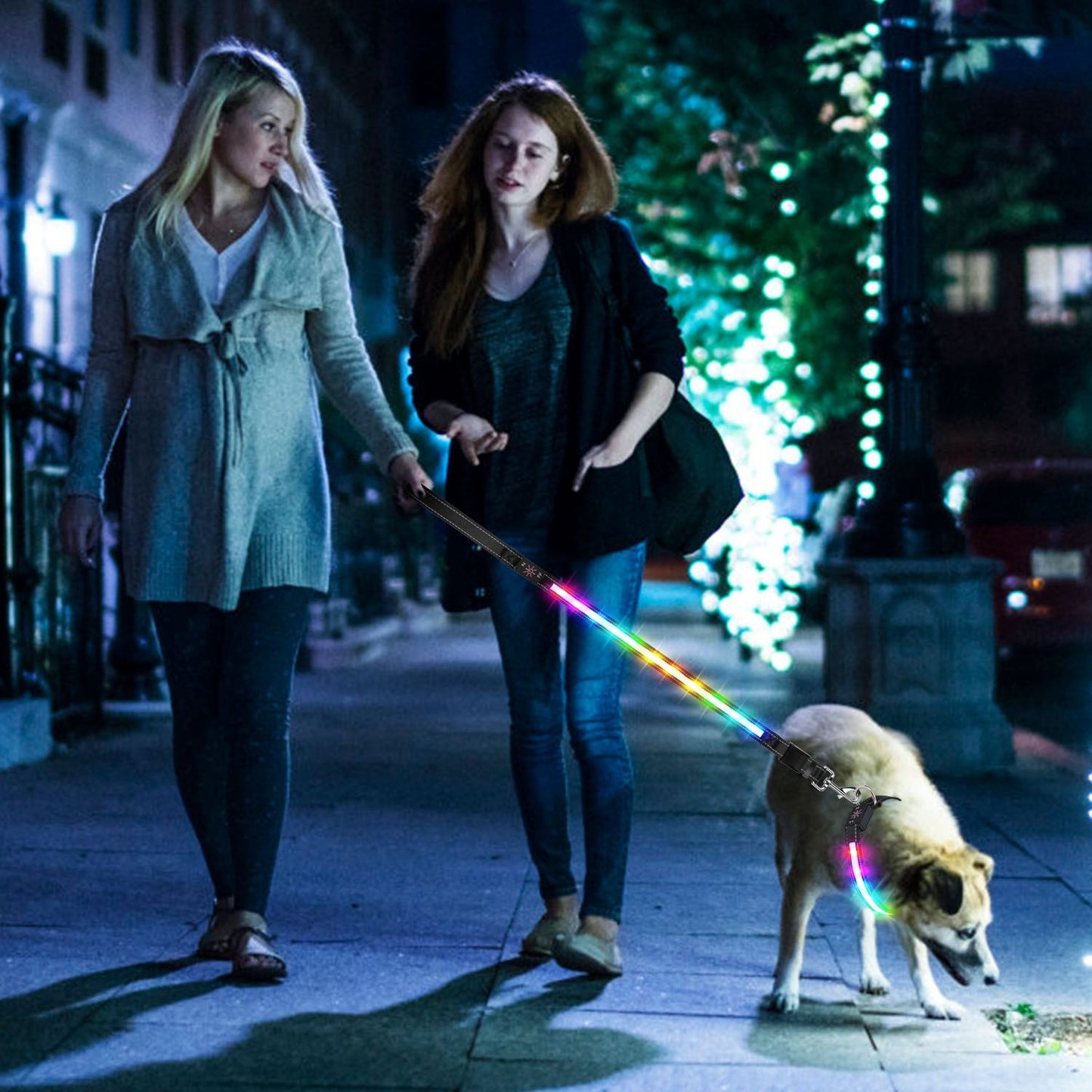 two people walking a dog at night using a multicolor illuminated leash for visibility