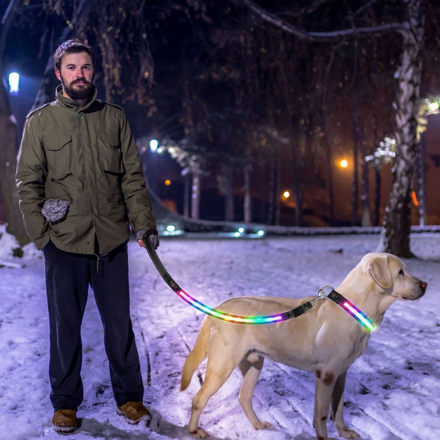 person walking a dog on a snowy night with a multicolor light up leash enhancing visibility