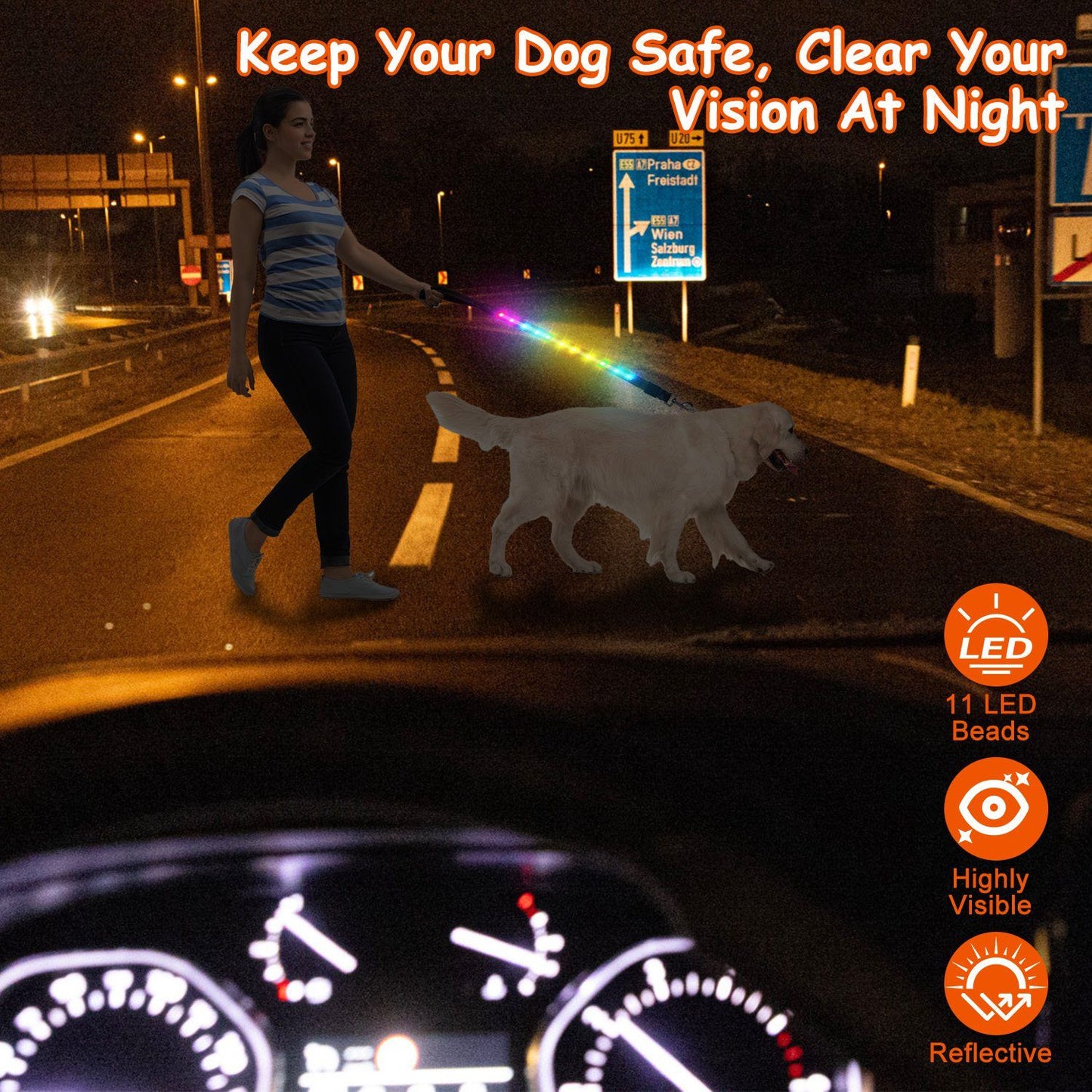 person walking a dog at night with a multicolor illuminated leash visible from a car