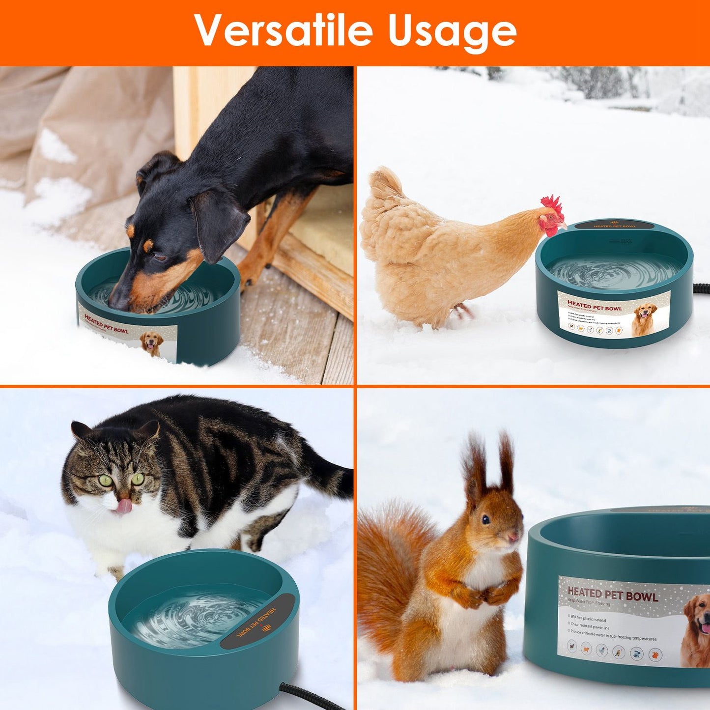 Collage of dog, chicken, cat and squirrel using the heated pet bowl in outdoor snowy settings