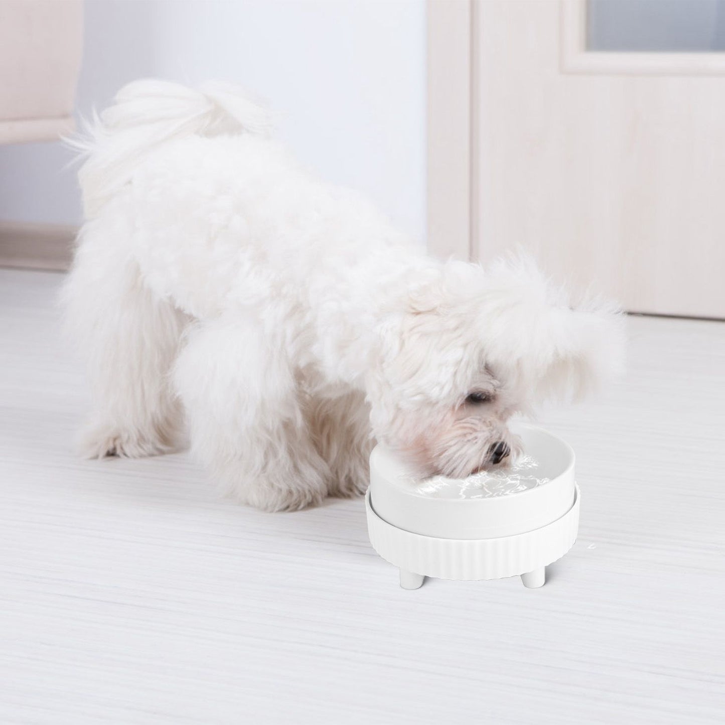Small white dog drinking from a compact heated ceramic pet bowl on a light floor