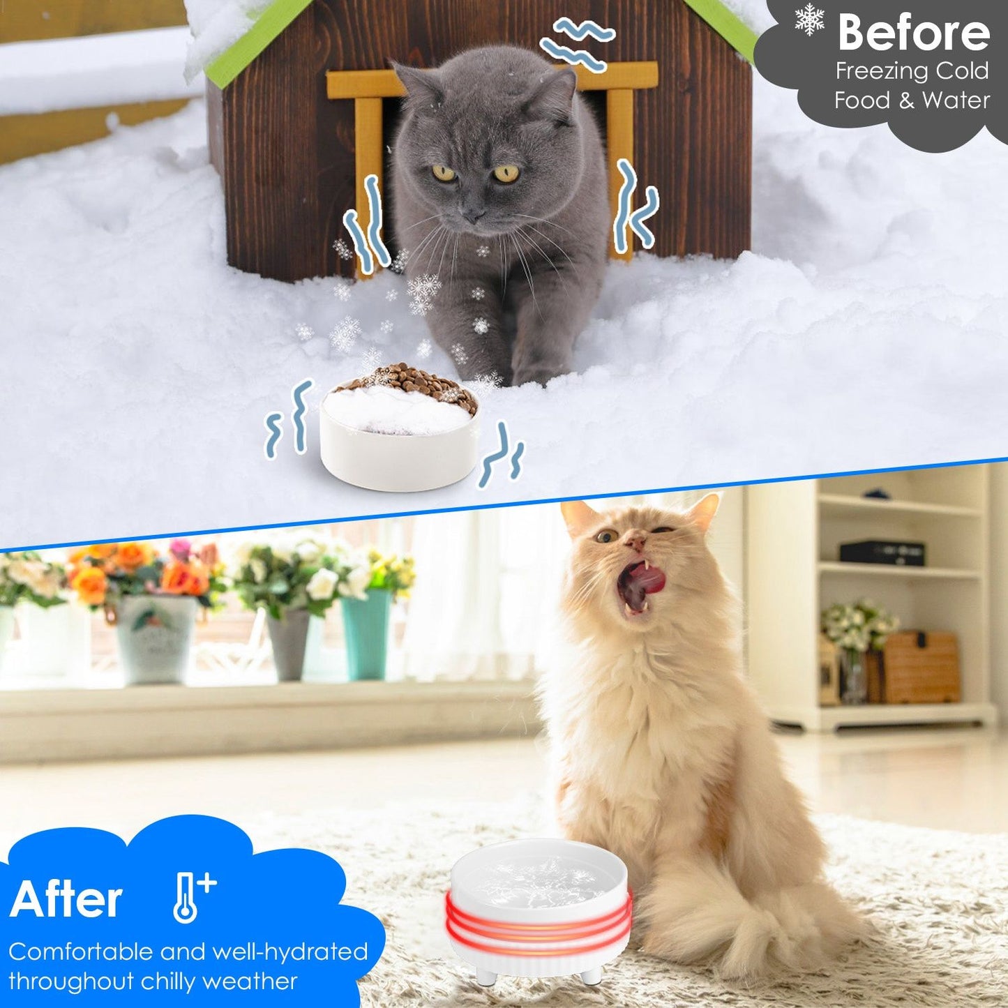 Split image of a cat outdoors in snow beside frozen bowl and indoors drinking from a warmed bowl