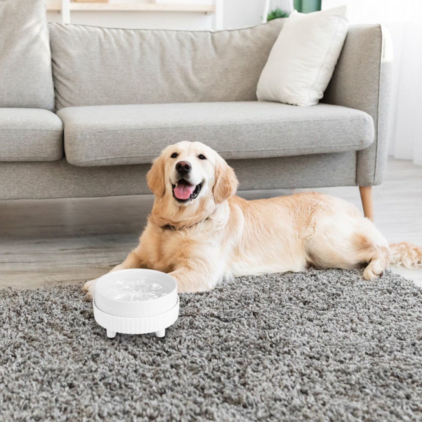 Golden retriever relaxing near a compact heated pet bowl on a carpeted living room floor