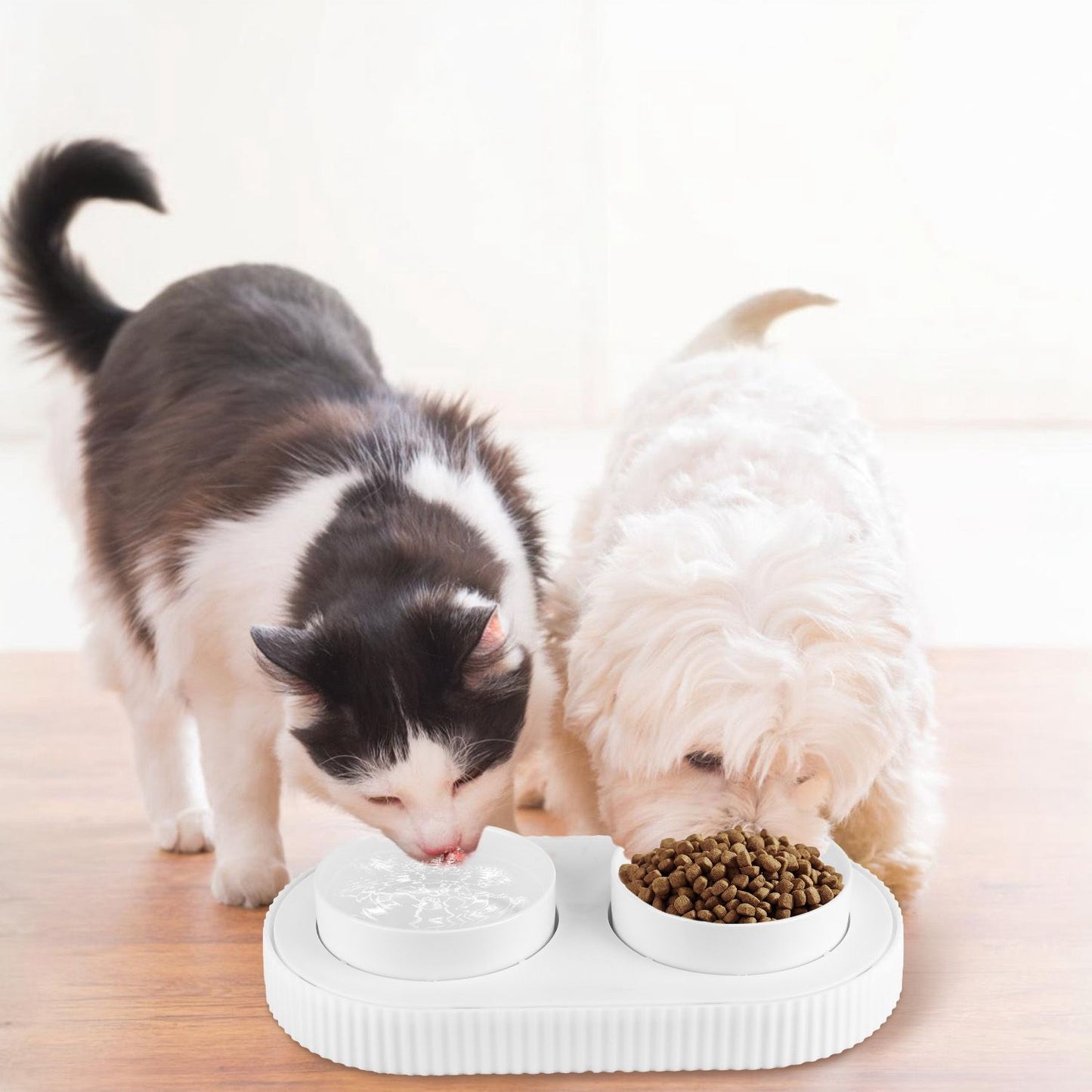 Cat and small dog sharing dual heated water and food bowls on a floor
