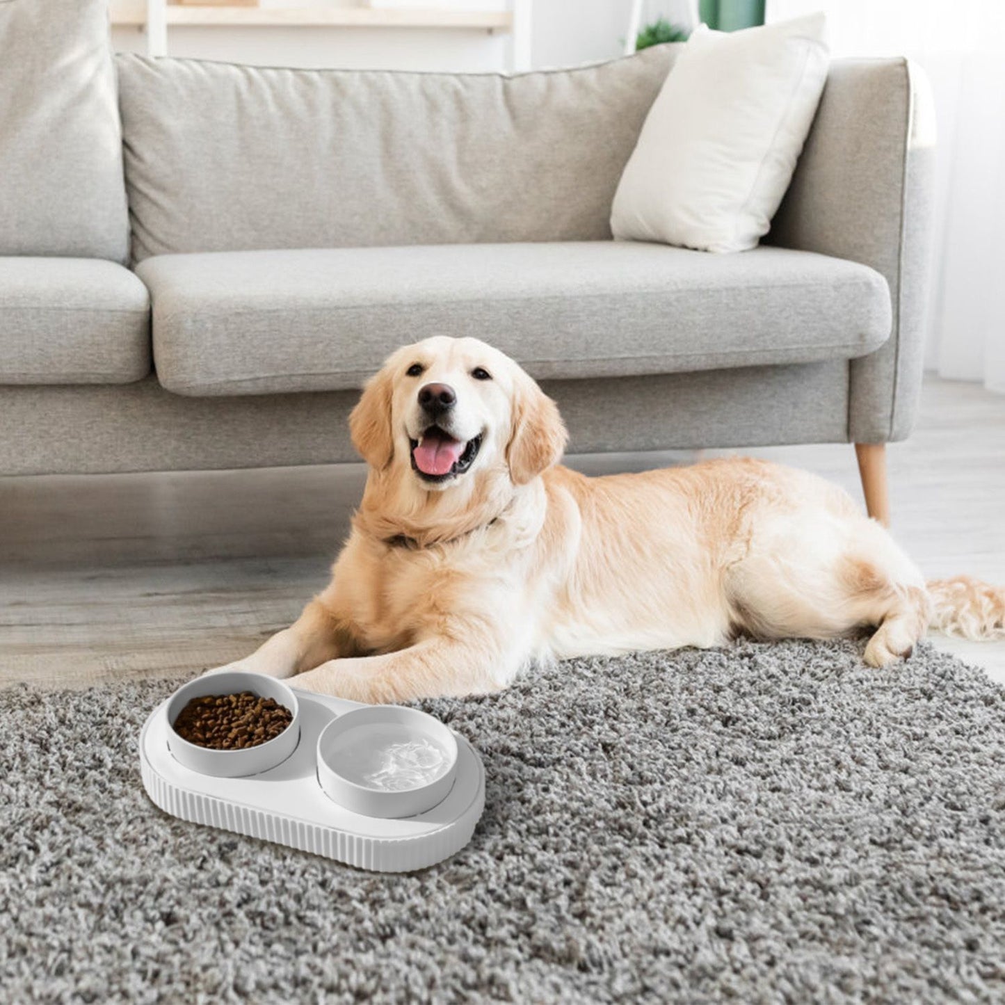 Golden retriever resting beside a white dual heated pet bowl on a carpeted living room floor