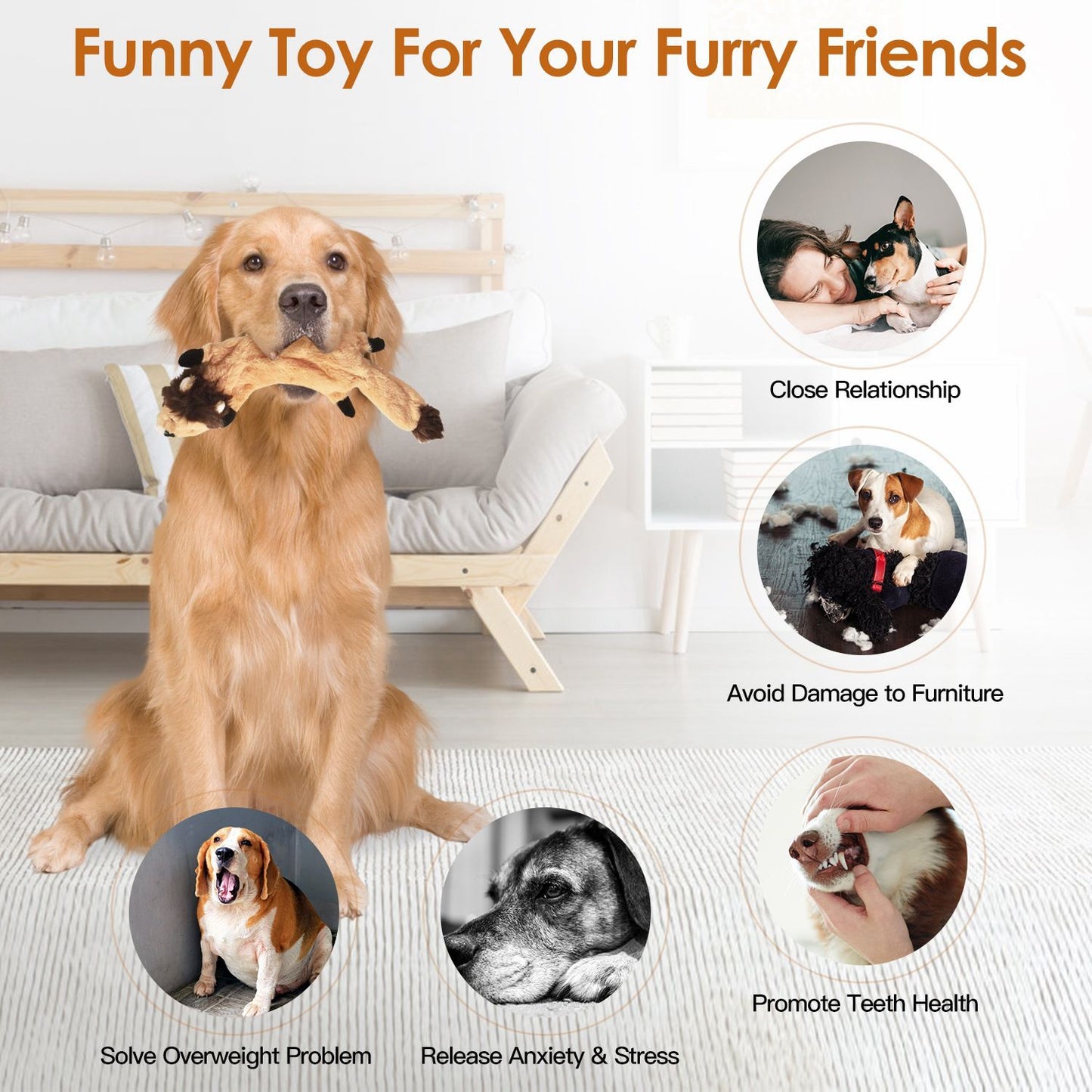 Dog holding a long plush squeaky toy indoors demonstrating tug and hold play