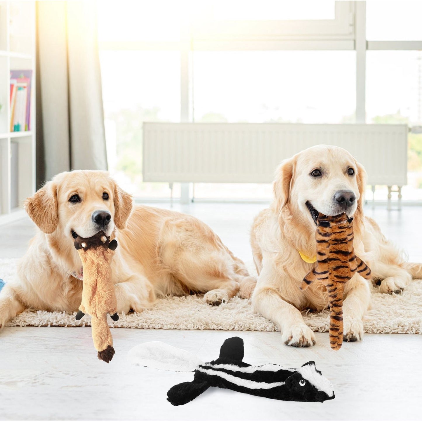 Two dogs indoors with long flat plush squeaky toys showing carry and lounging play