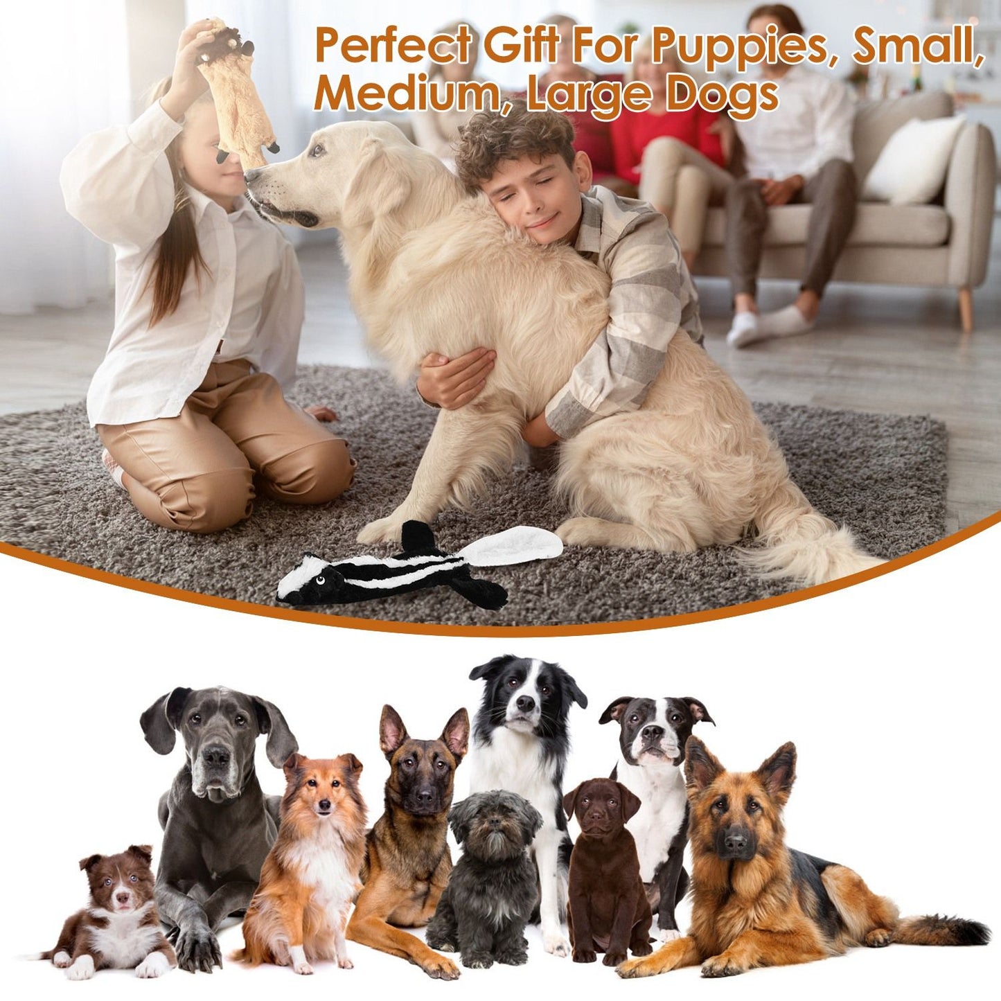 Person offering a plush squeaky toy to a large dog with a lineup of breeds to show suitability for all sizes