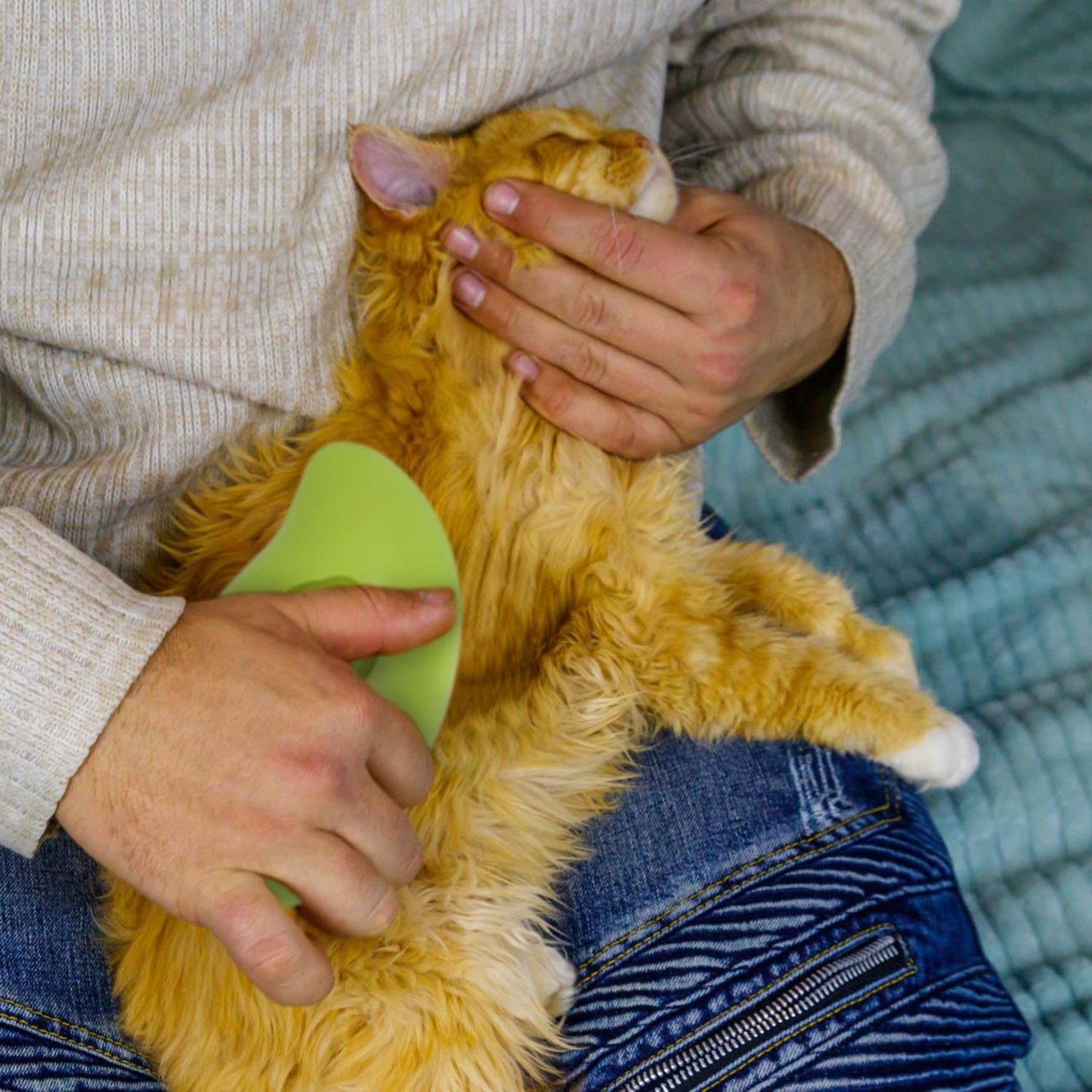 Person brushing a long-haired orange cat with a green handheld steam brush