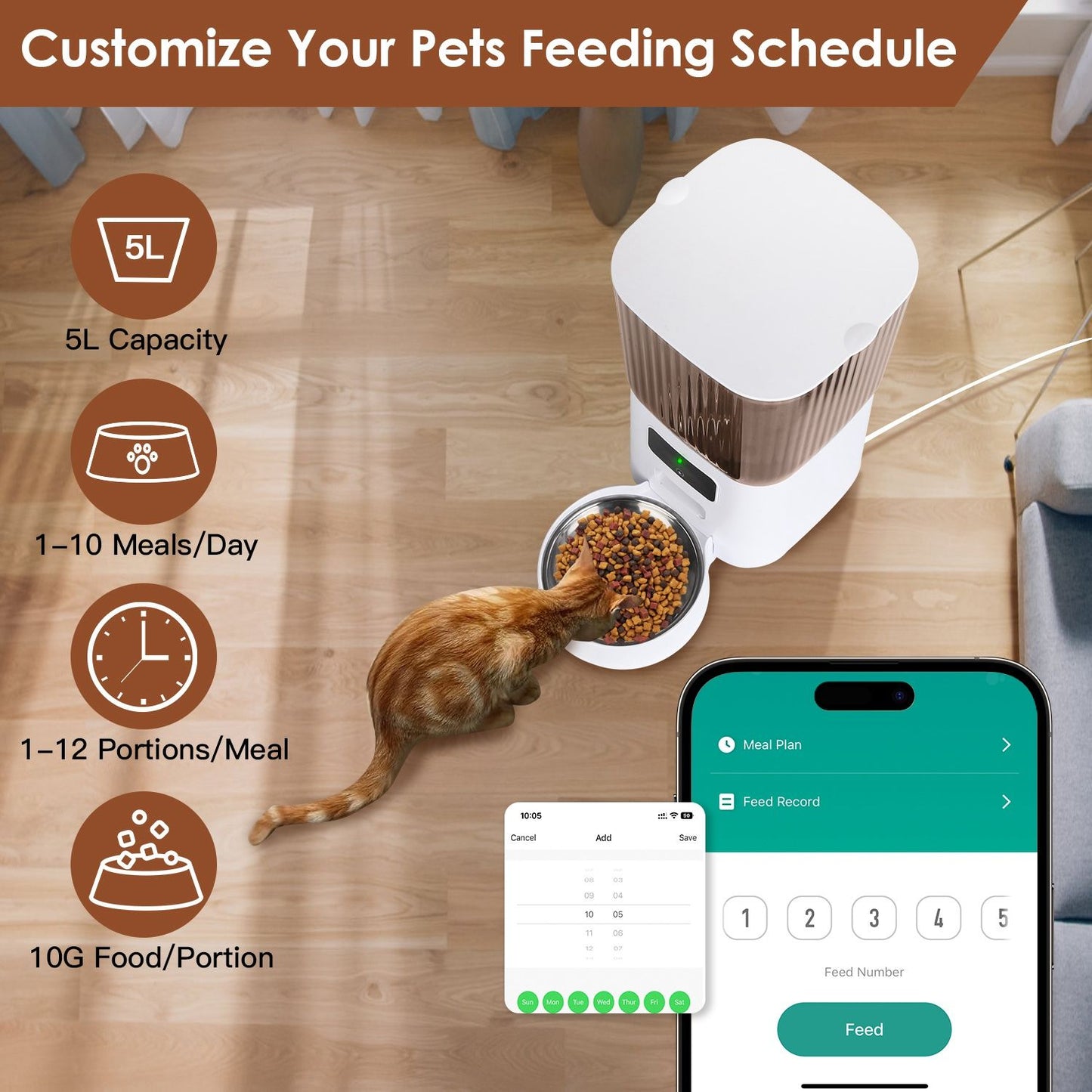 Overhead view of feeder and cat with app showing meal scheduling and portion icons