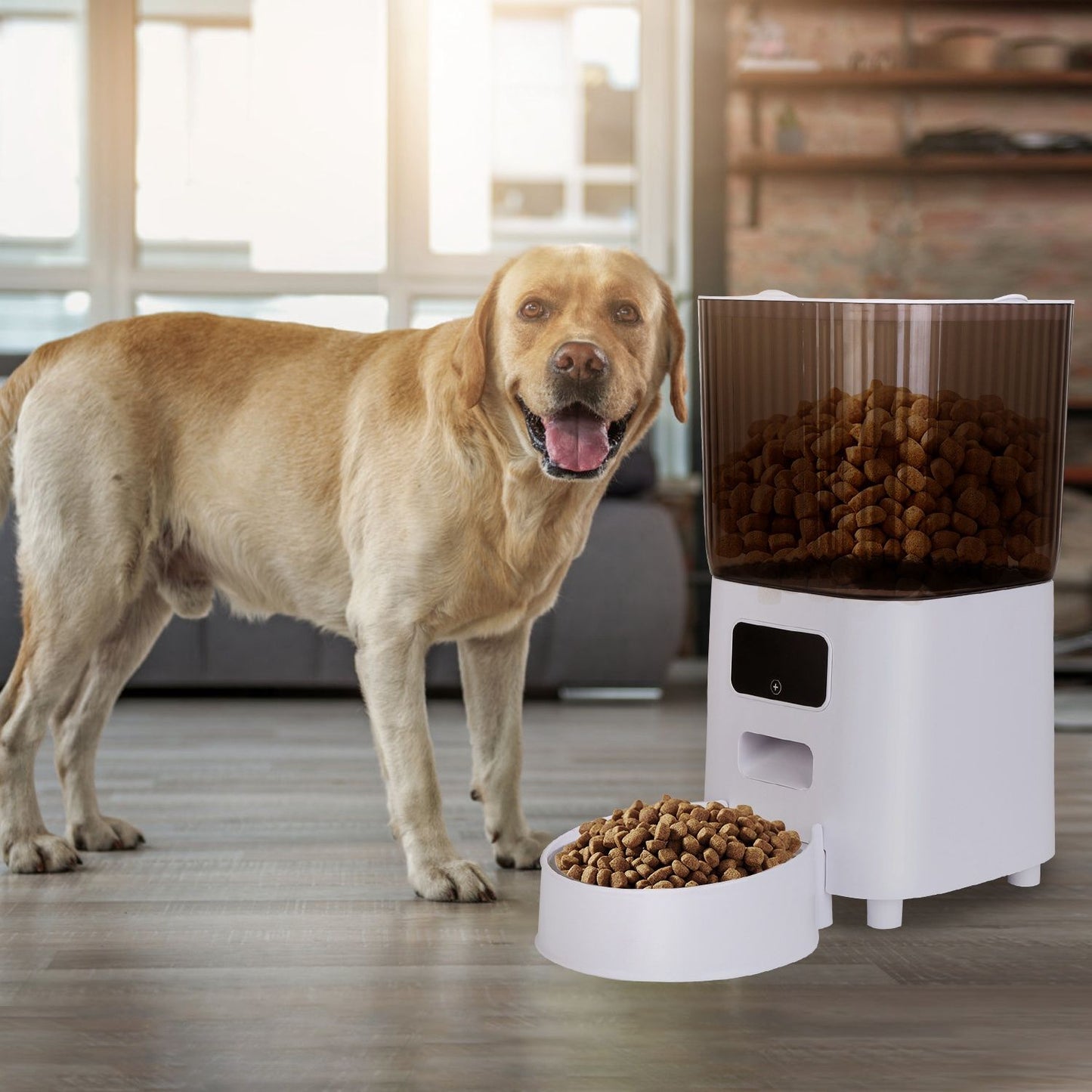 Dog standing beside the automatic feeder with a full bowl to show suitability for dogs and cats