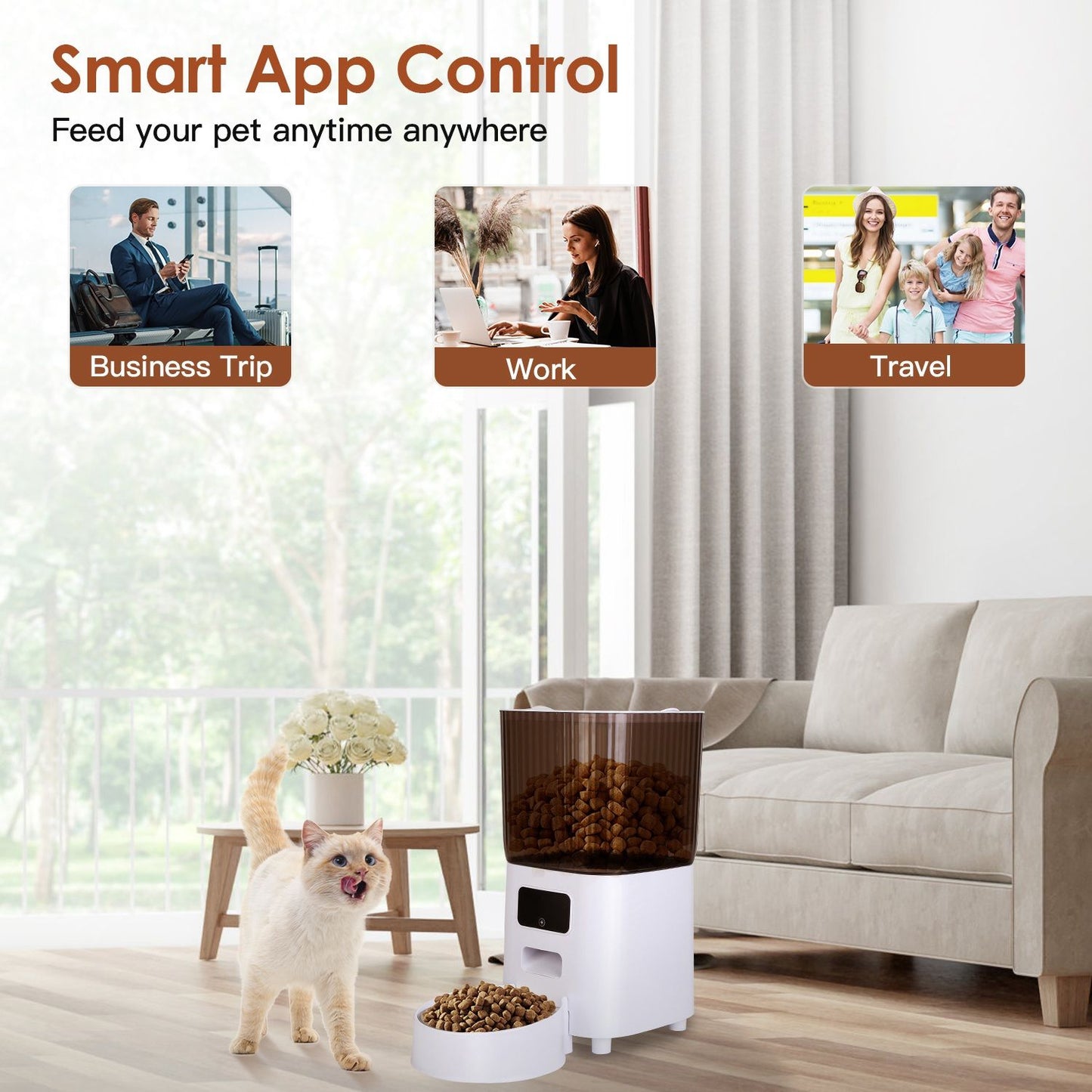 Feeder placed in living room near sofa with cat, illustrating smart app remote feeding