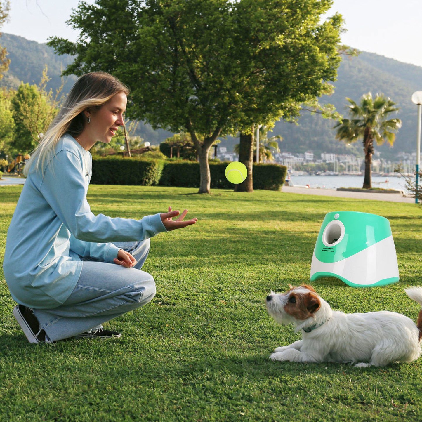 Person tossing a ball in a park with small dog watching and launcher nearby
