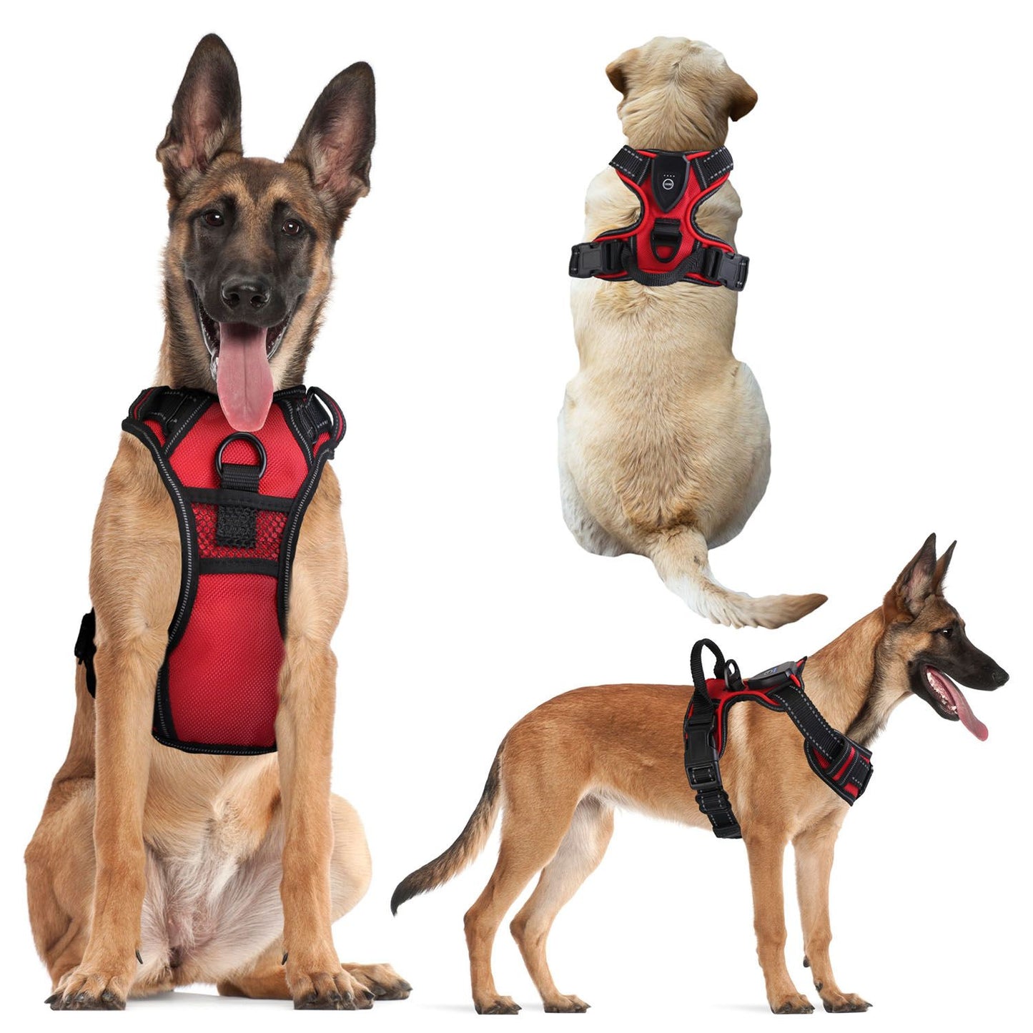 Three-view product collage of harness on dogs showing front, back and side fit with rings and buckles