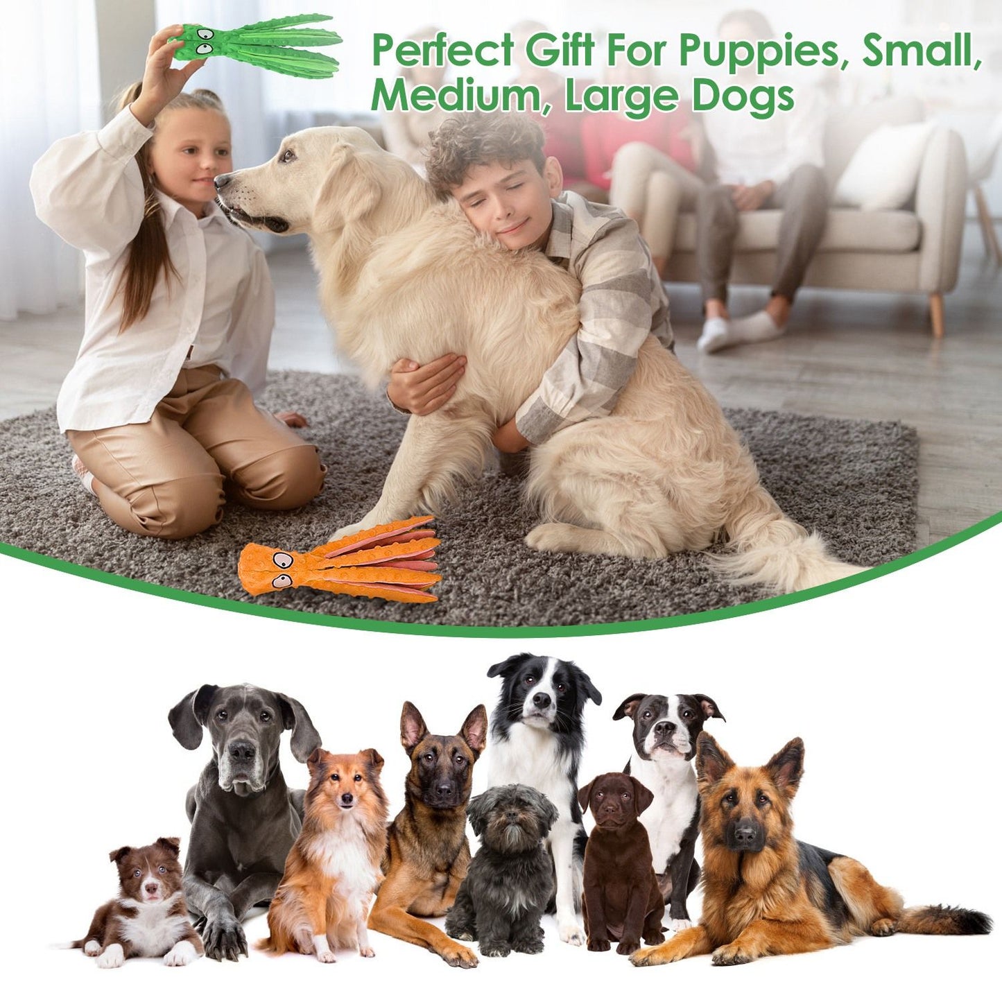 Indoor scene with a golden retriever and an orange octopus toy on the rug alongside a lineup of multiple dog breeds