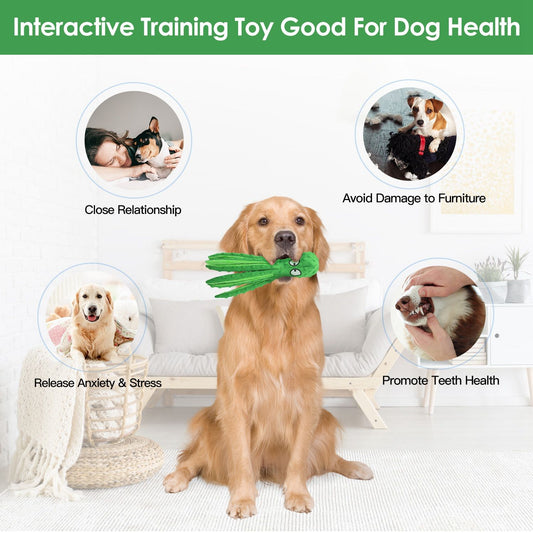 Dog sitting holding a green octopus toy in its mouth surrounded by icons illustrating training and health benefits