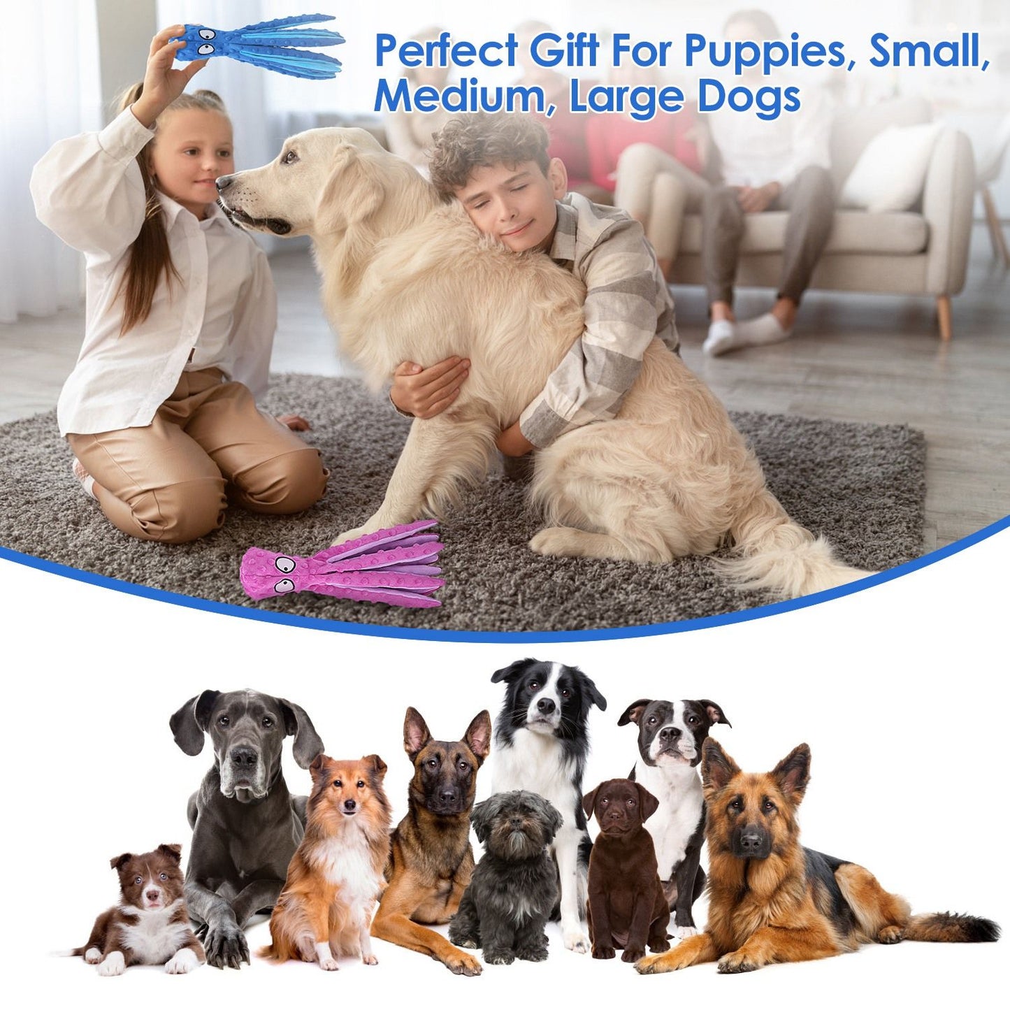Indoor family scene with a person showing a pink octopus toy to a golden retriever and multiple dog breeds pictured below