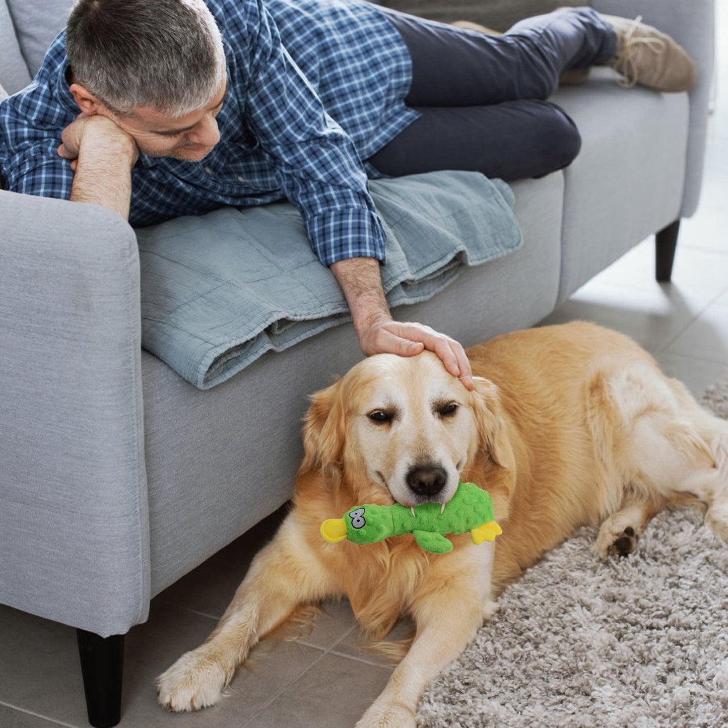 Person reaching to a dog lying on the floor with the green duck plush for quiet bonding