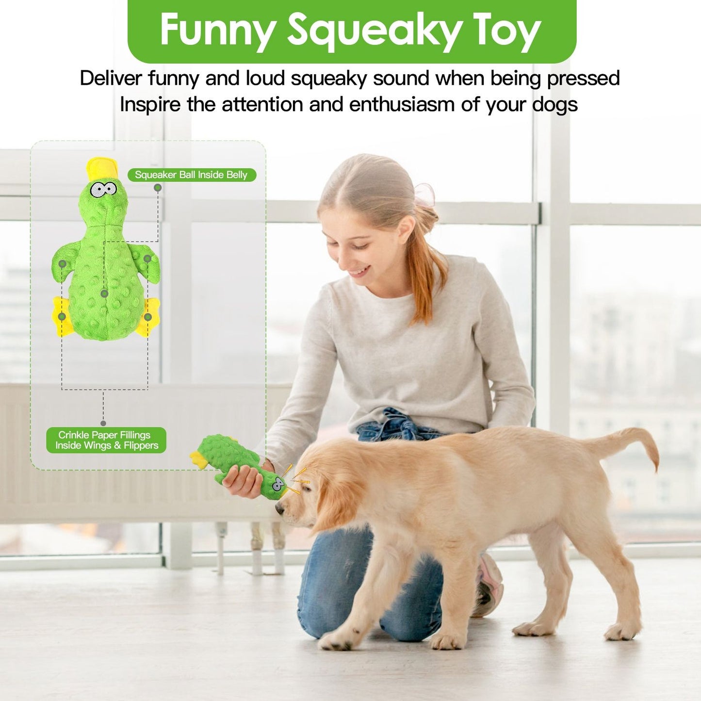Dog toy cross-section showing belly squeaker and crinkle-filled wings, puppy playing