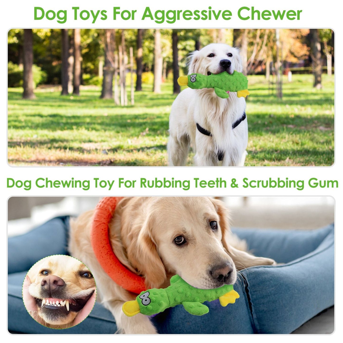 Dog outdoors carrying green duck plush; highlights chewing action for teeth cleaning