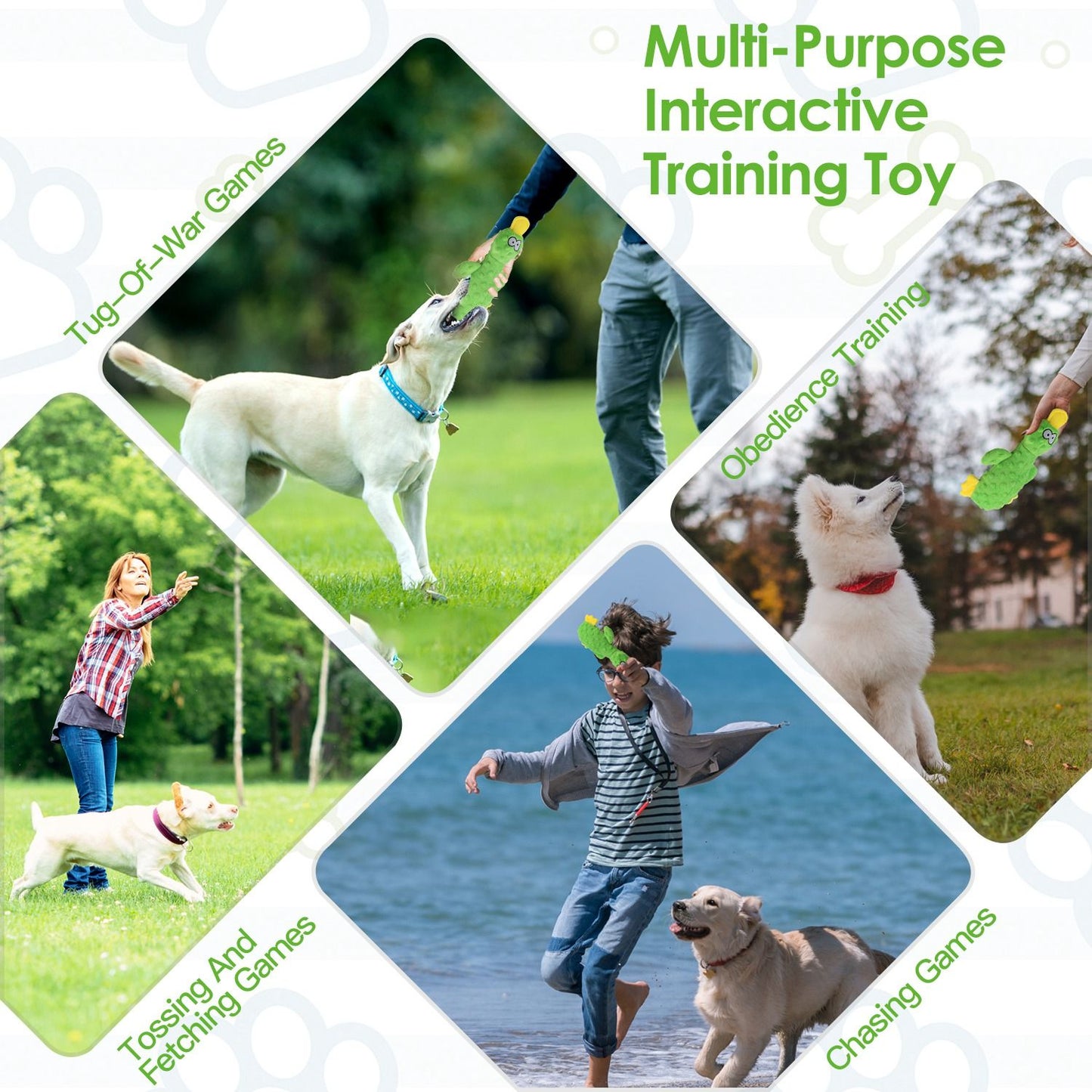 Collage showing tug-of-war, obedience, fetching and chasing using the duck plush toy
