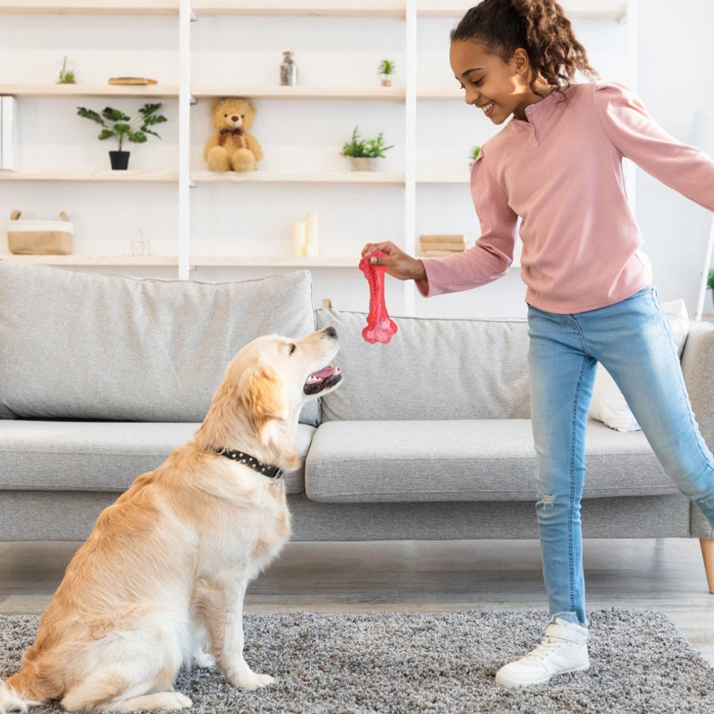 Child offering small red chew bone to golden retriever in living room
