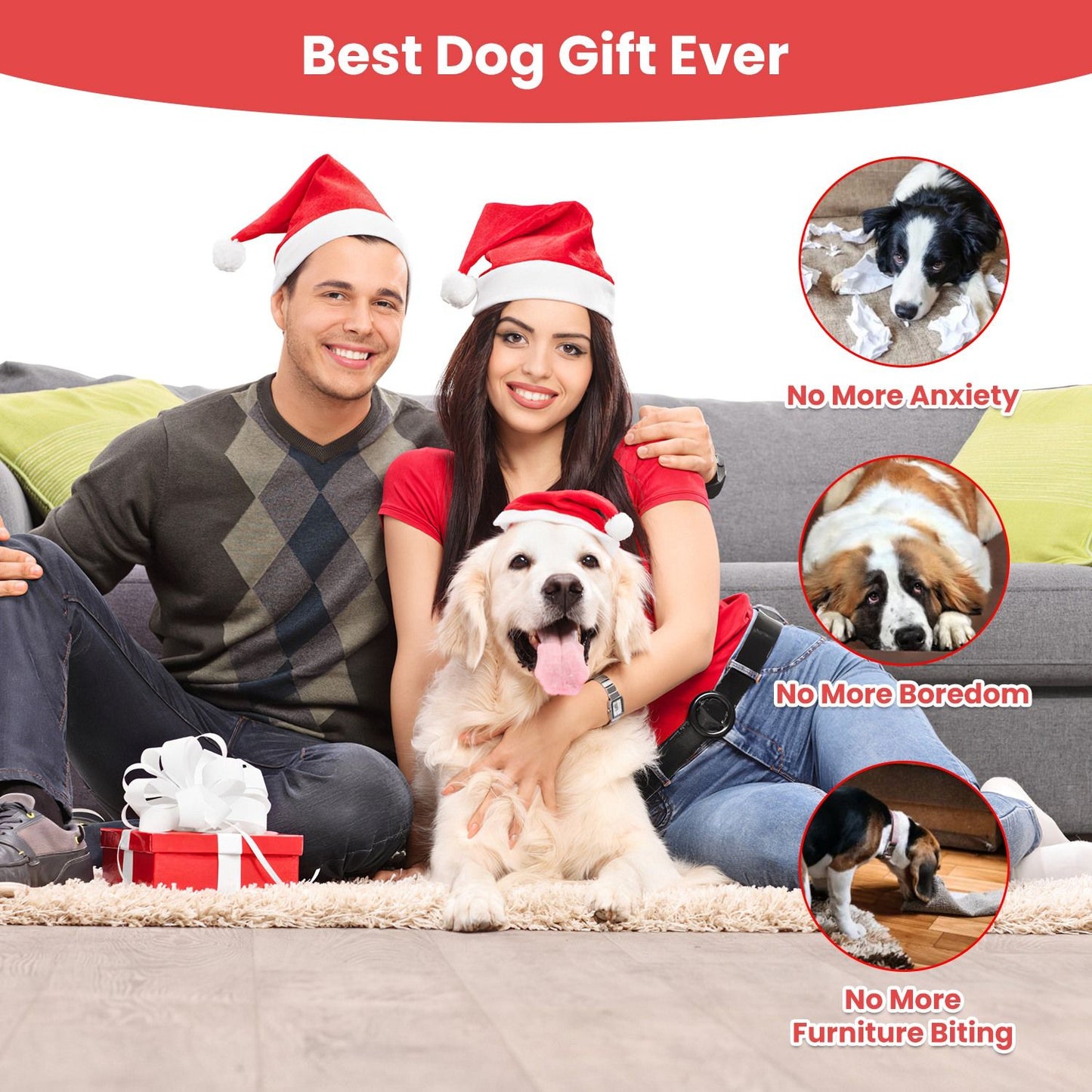 Family scene showing dog on lap with red chew toy presented as a pet gift