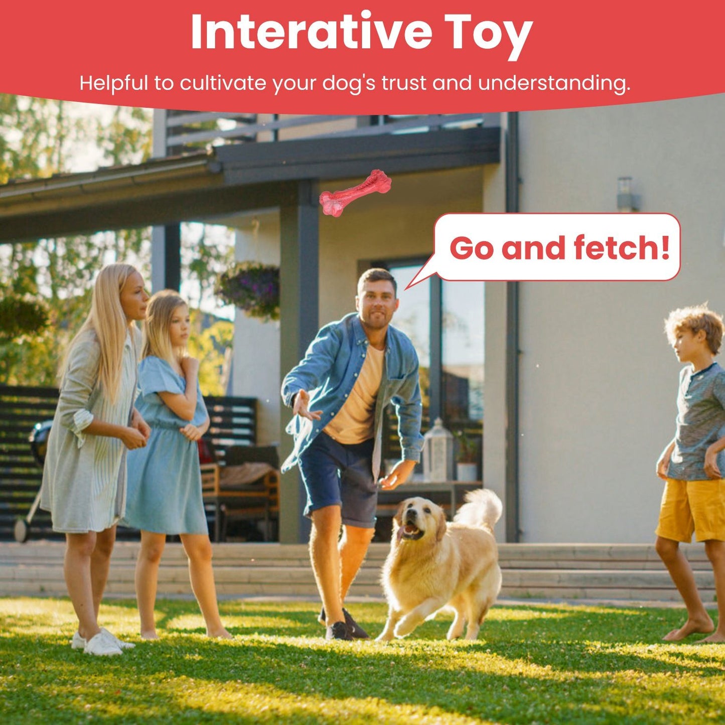 Adult throwing red dog bone as golden retriever runs to fetch in yard