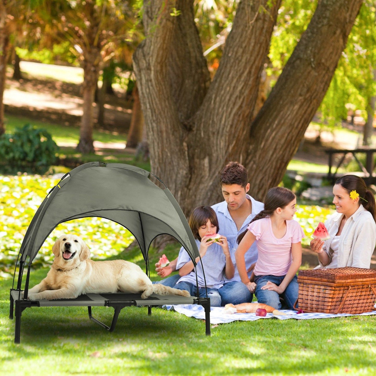 Portable elevated dog bed with canopy set on grass providing shaded pet rest at a picnic