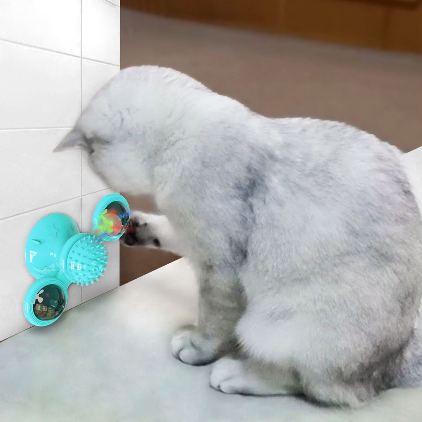 cat playing with blue windmill toy on living room floor near glass doors