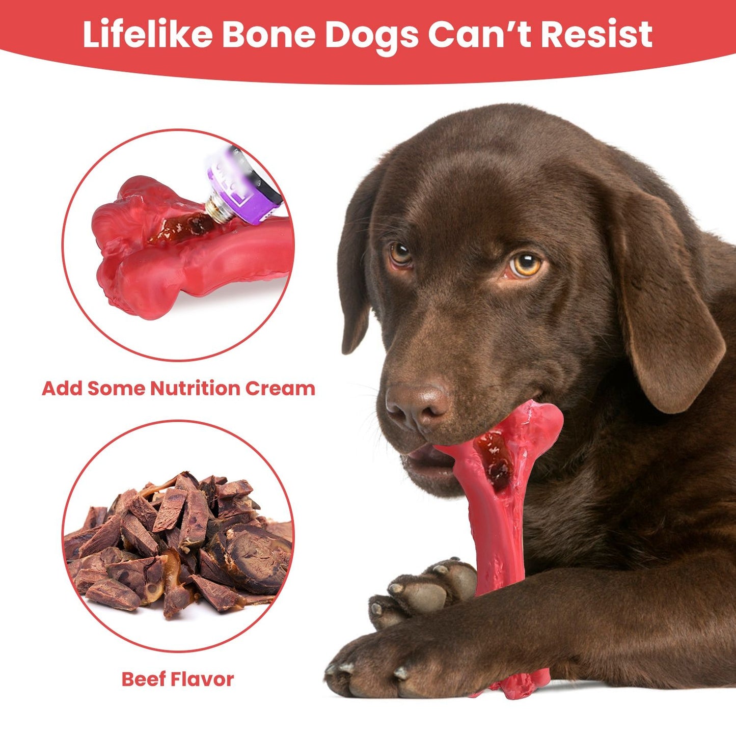 Dog chewing red bone with treat paste applied in groove for enrichment use