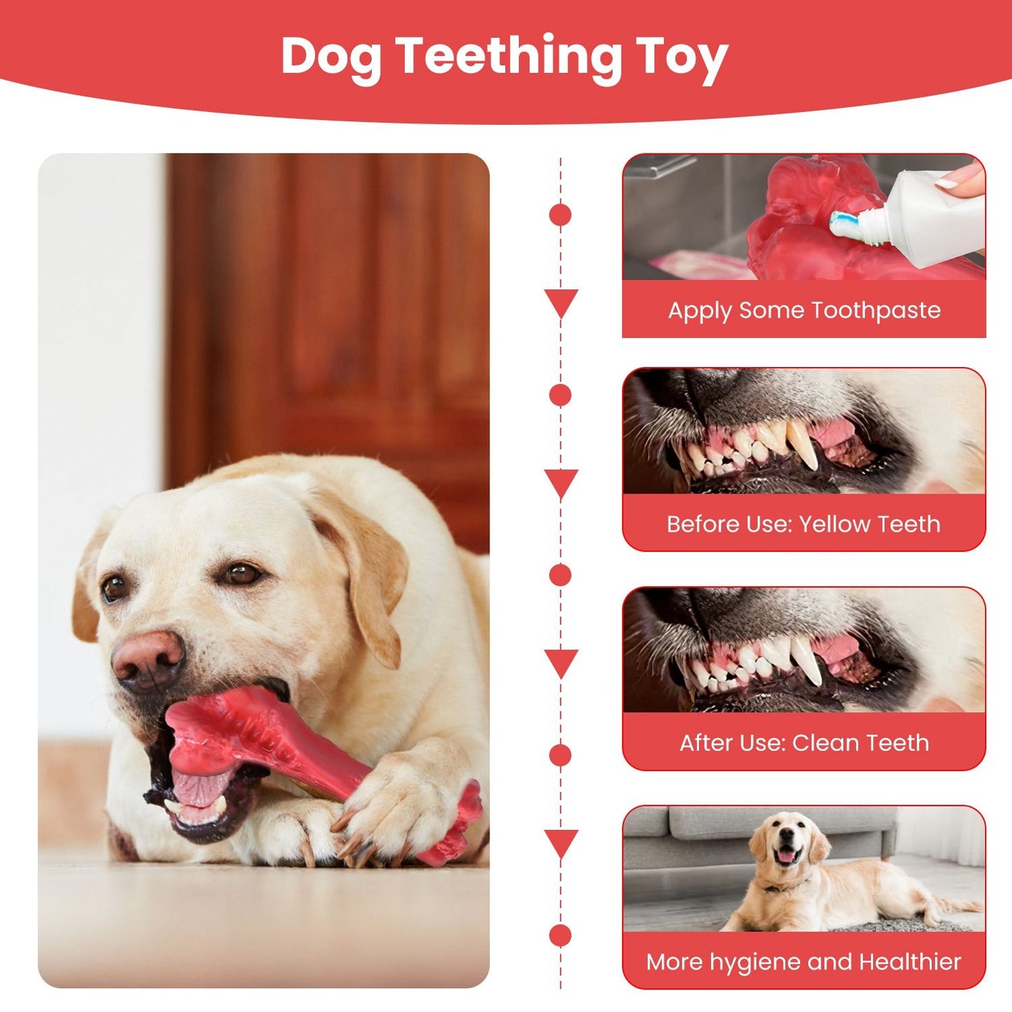 Dog chewing red teething toy with before and after teeth images to show dental benefits