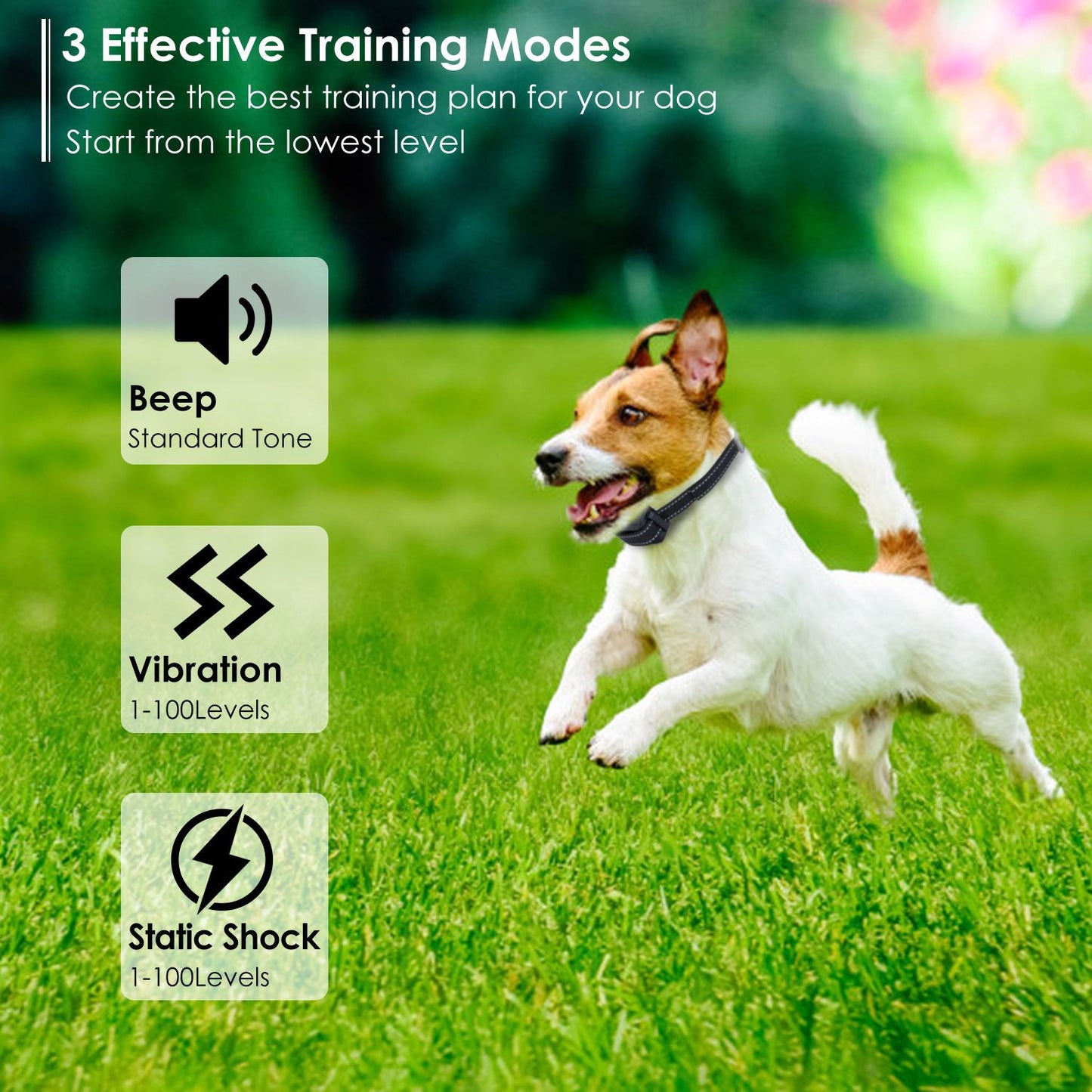 Dog running on grass wearing training collar with icons for beep vibration and static modes