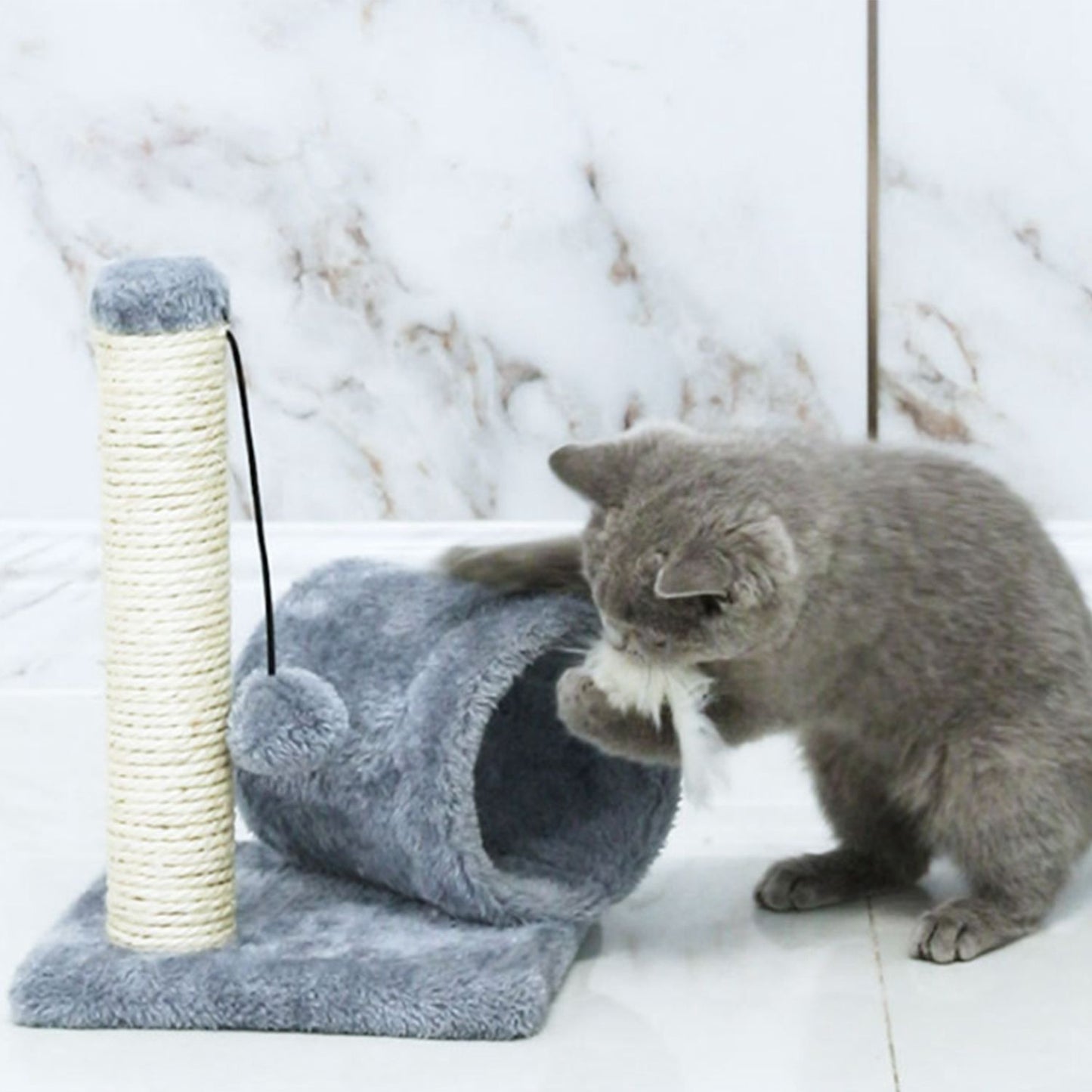 Cat playing with plush tunnel and toy mouse beside sisal-wrapped scratching post