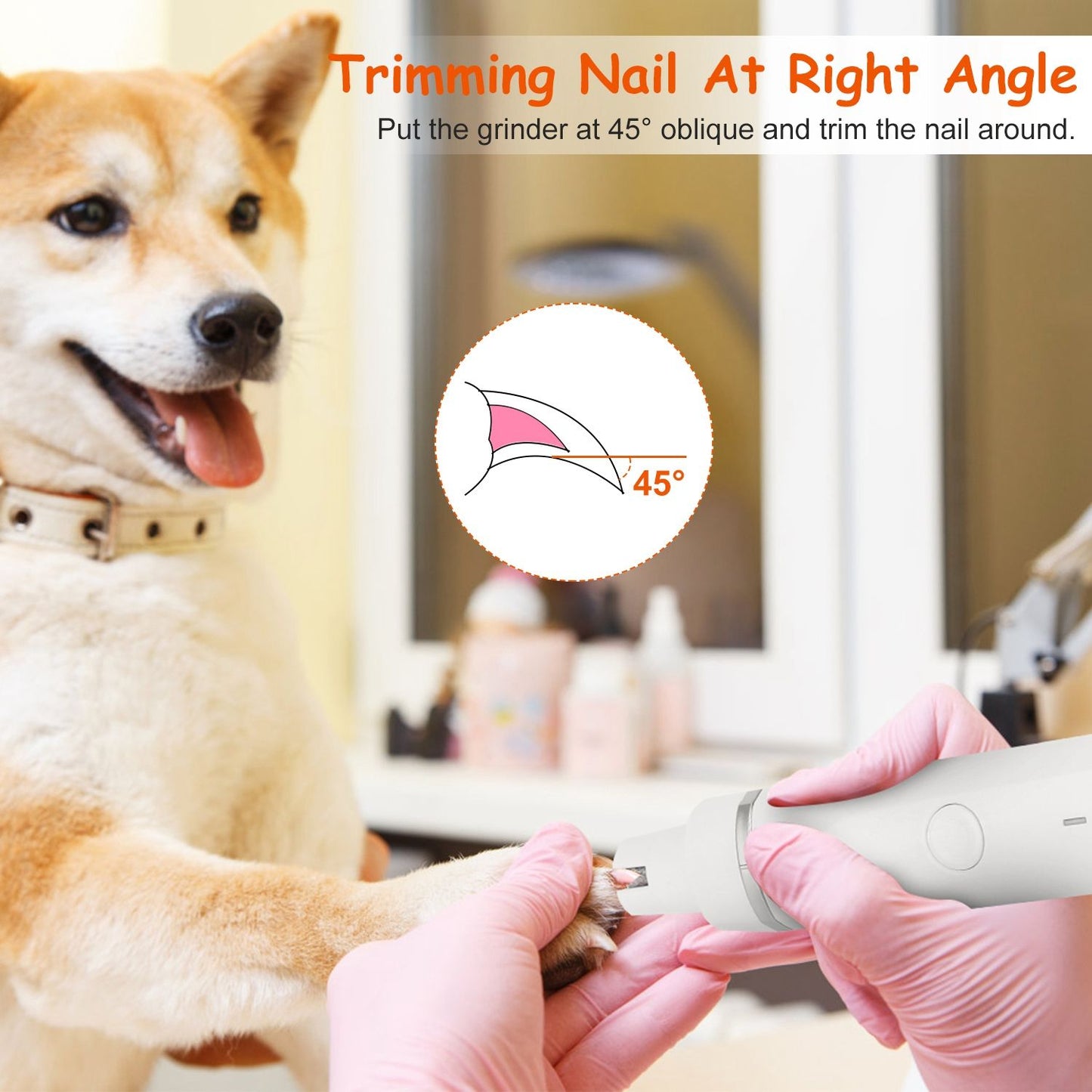 Demonstration of using the nail grinder at a 45 degree angle while holding a pet paw