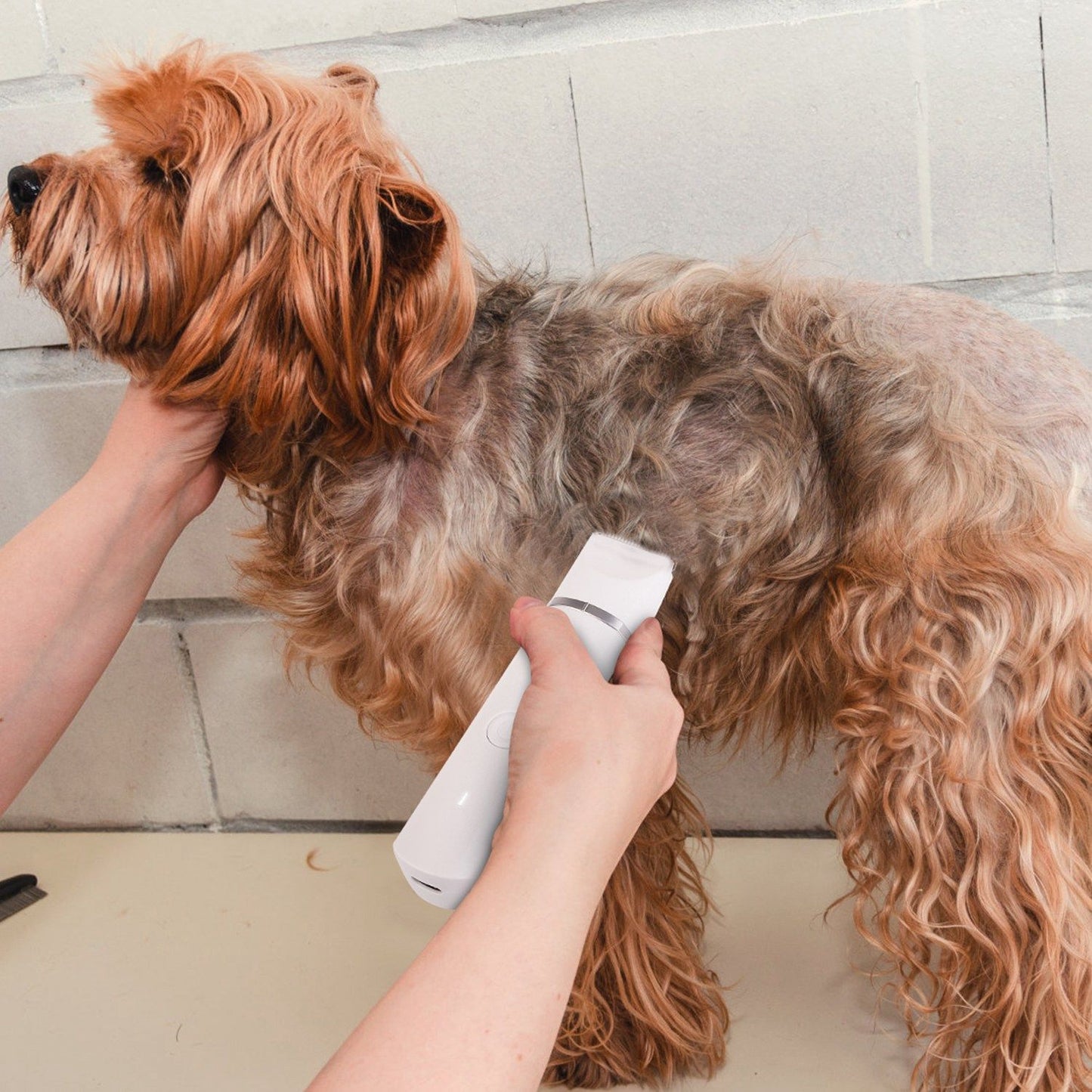 Hands using the white pet trimmer to groom a small long-haired dog on a table