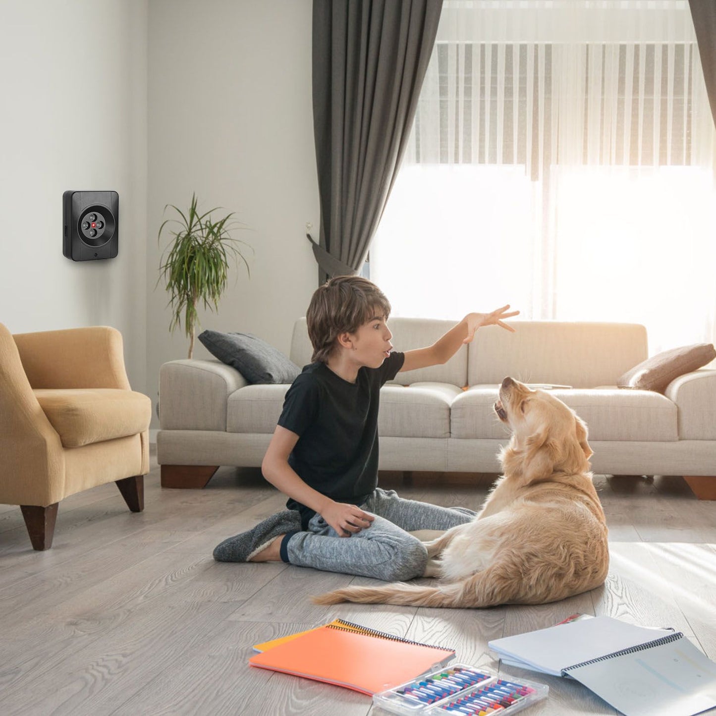 Device mounted low on wall in living room with dog and child interacting nearby