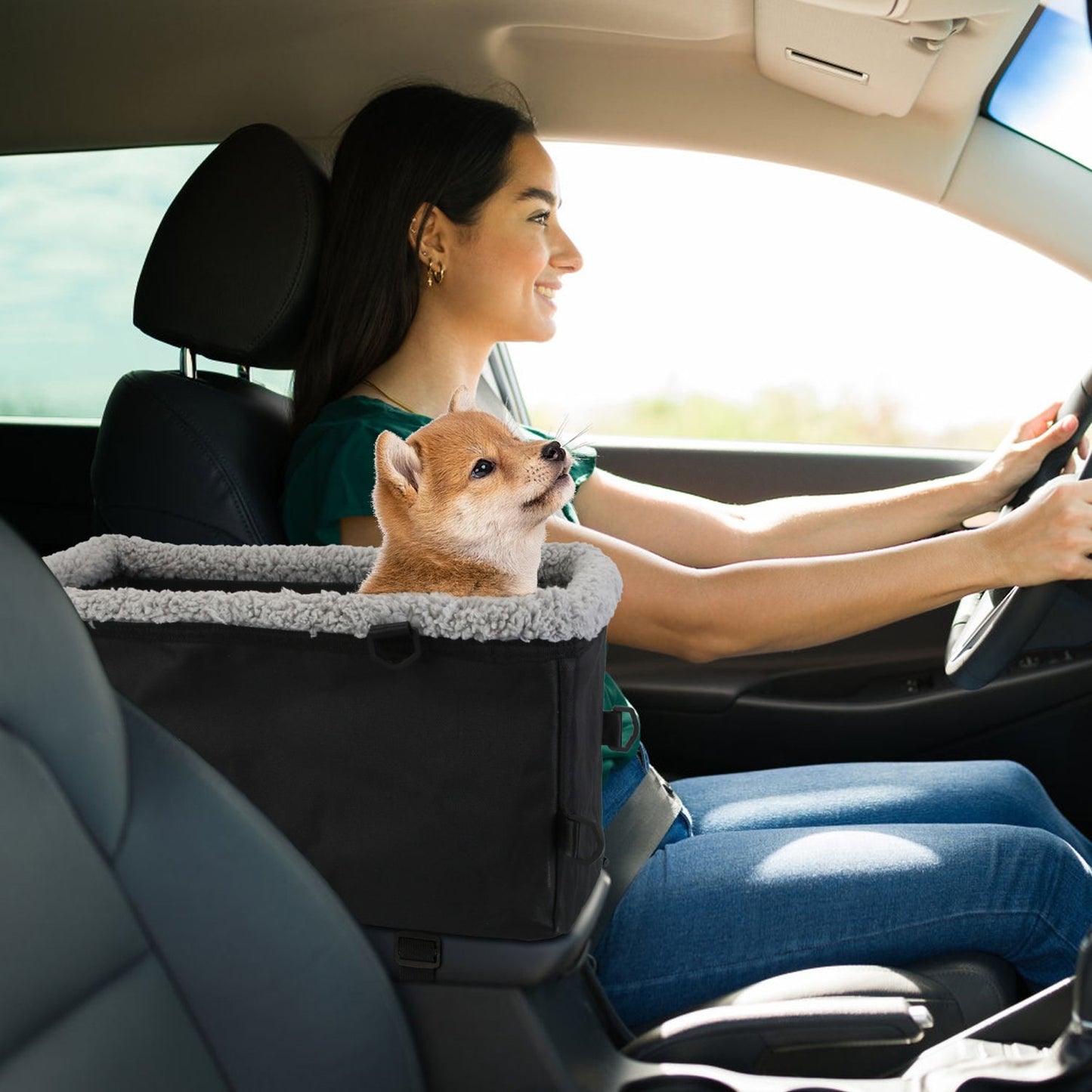 Booster on center console with small puppy seated, illustrating in-car use and elevated pet view