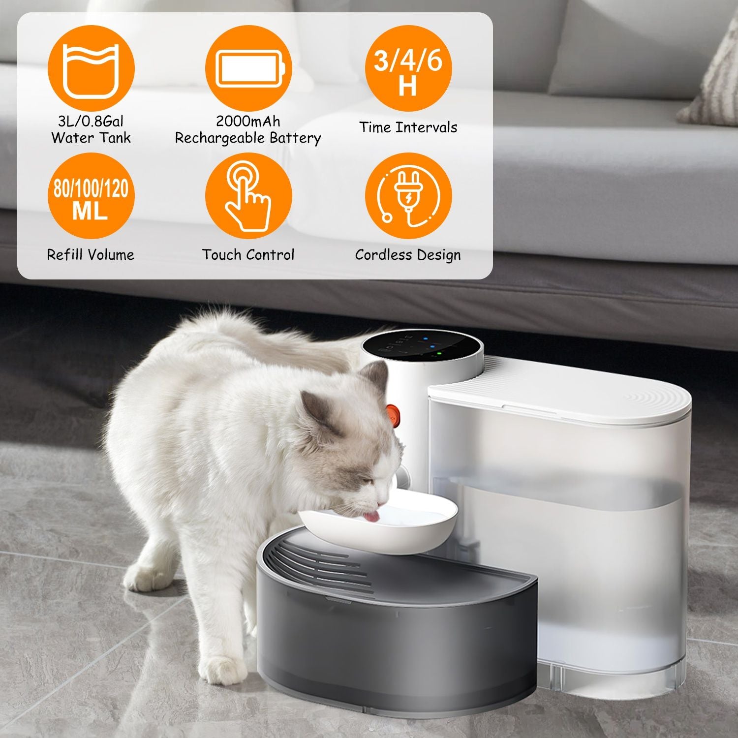 Cat drinking from the automatic pet water dispenser bowl placed on floor