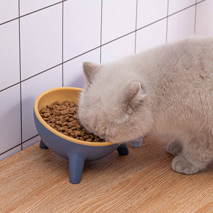 Cat eating from elevated blue-and-yellow tilted bowl on round pink pedestal