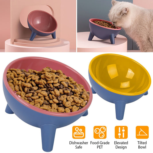 Tilted elevated cat bowl blue exterior with pink interior on display pedestal
