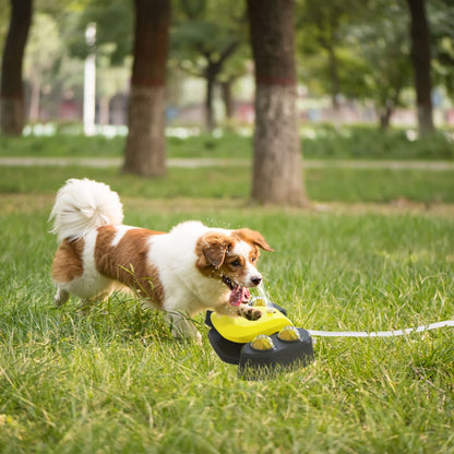 Dog running toward yellow-and-black fountain on grass with water spray from the nozzle
